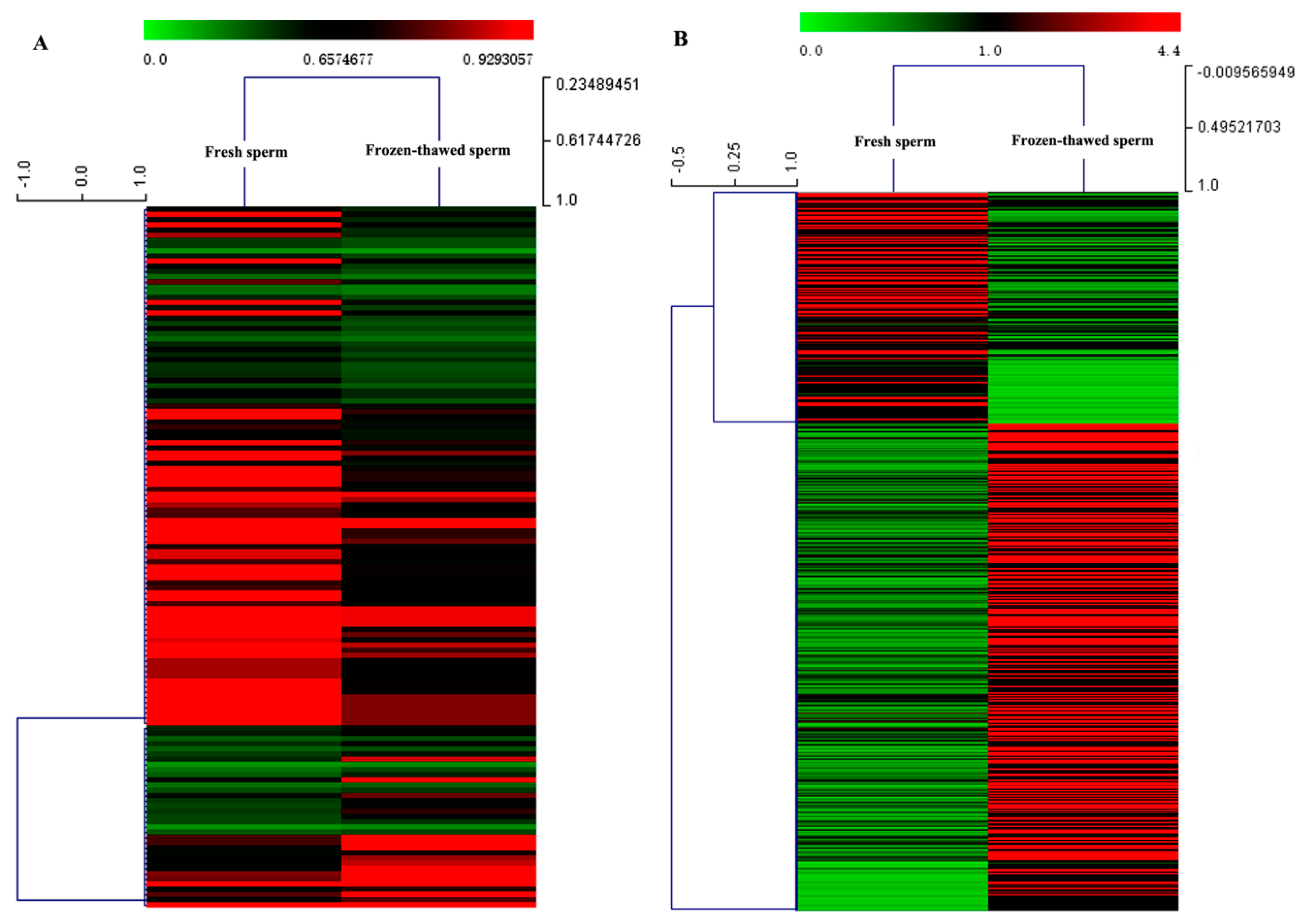 Ijms 20 00802 g002 Ijms 20 00802 g002