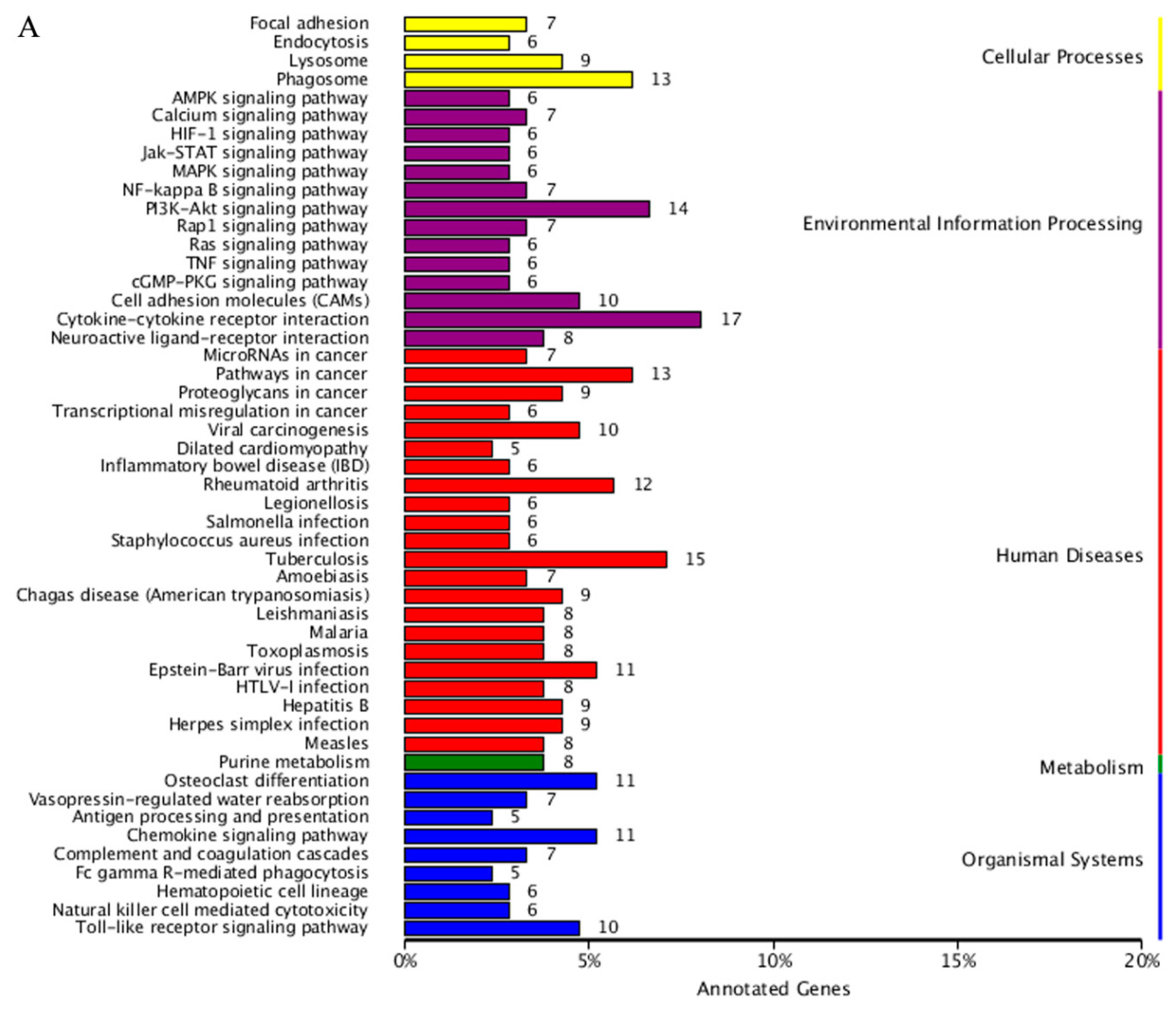 Ijms 20 00802 g004a Ijms 20 00802 g004a