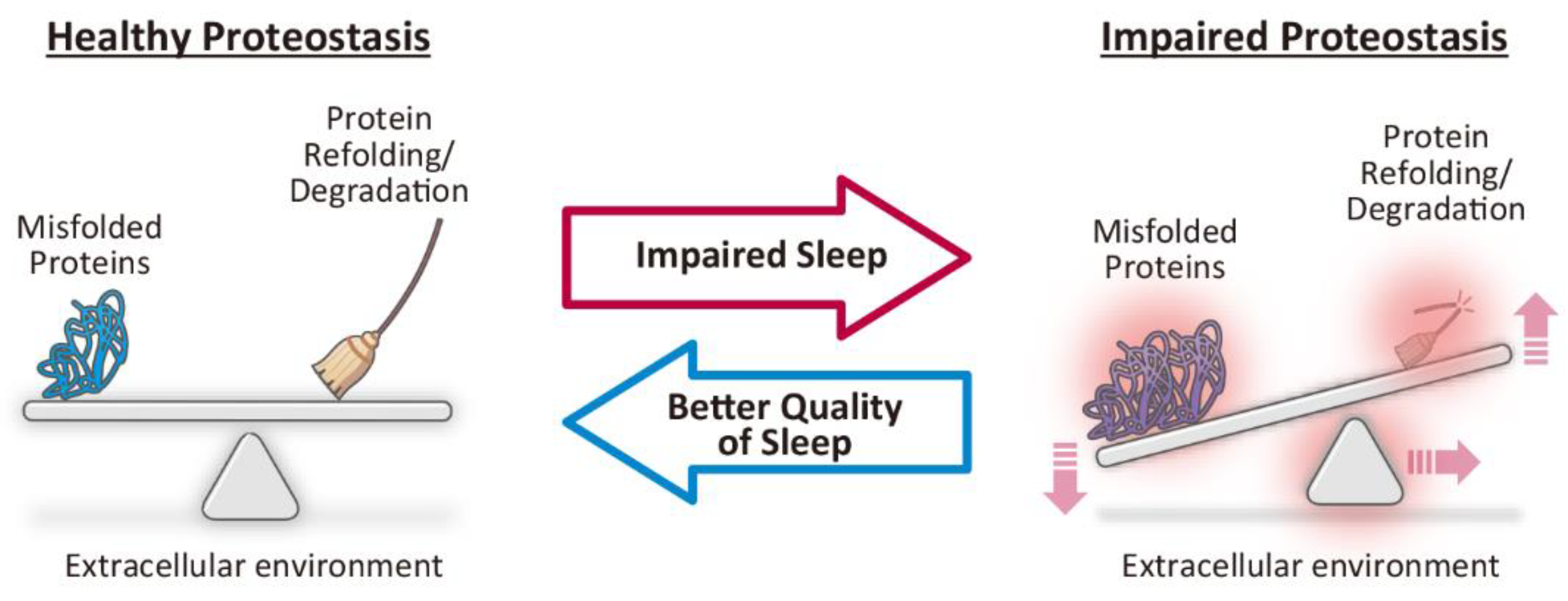 Ijms 20 00803 g002 Ijms 20 00803 g002