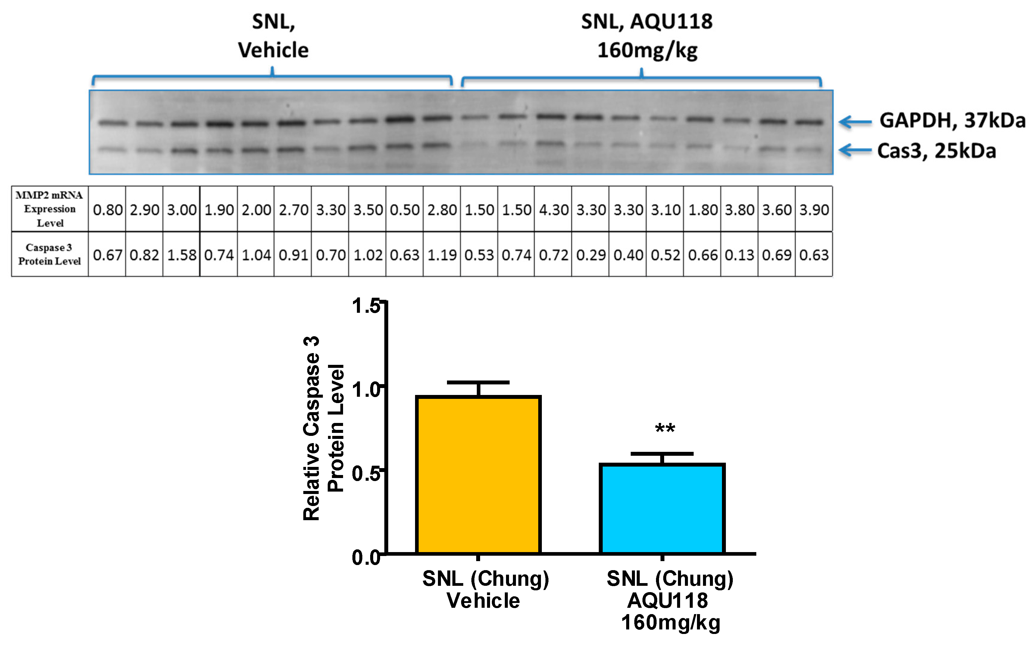 Ijms 20 00811 g009 Ijms 20 00811 g009
