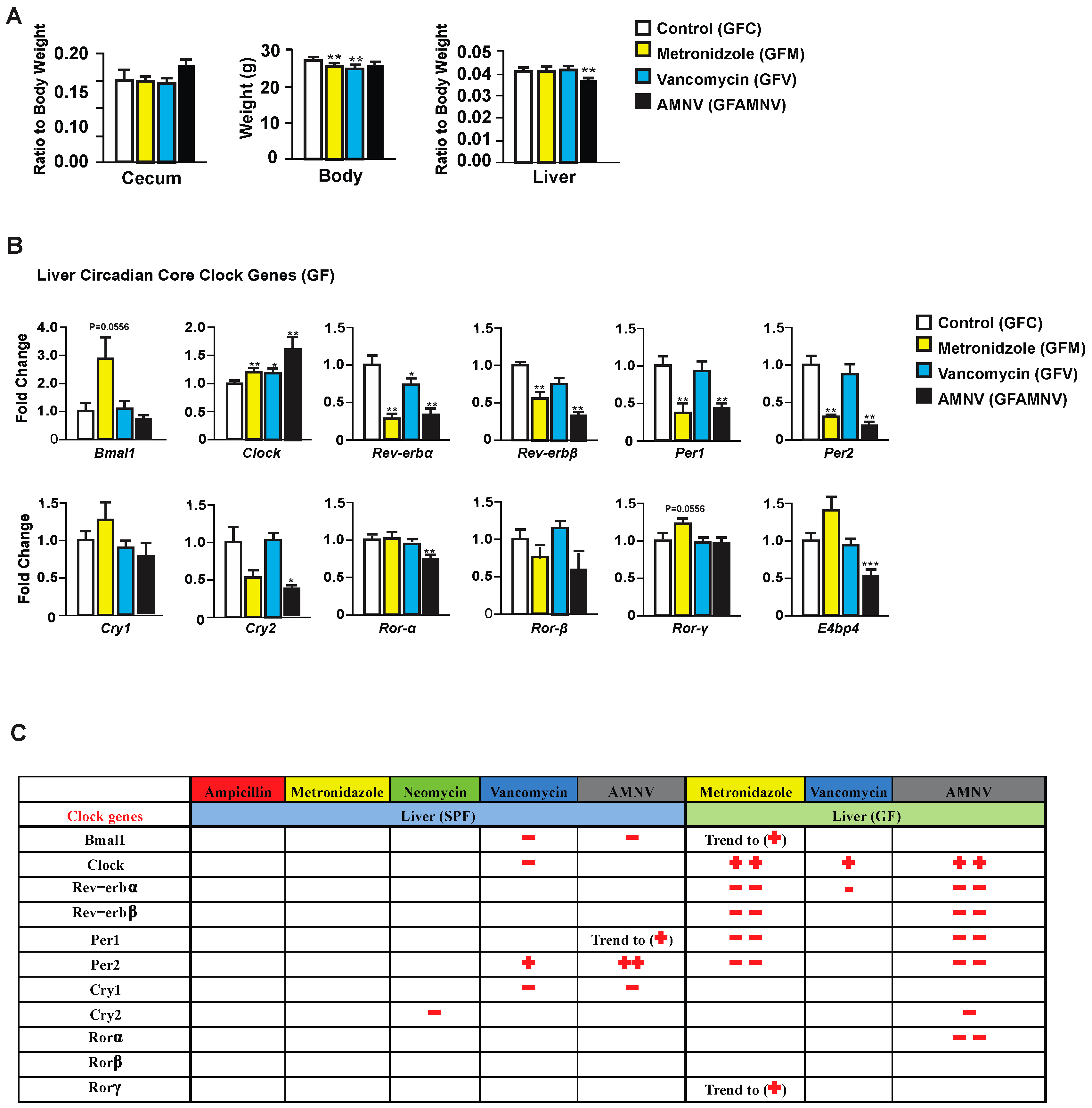 Ijms 20 00812 g003 Ijms 20 00812 g003