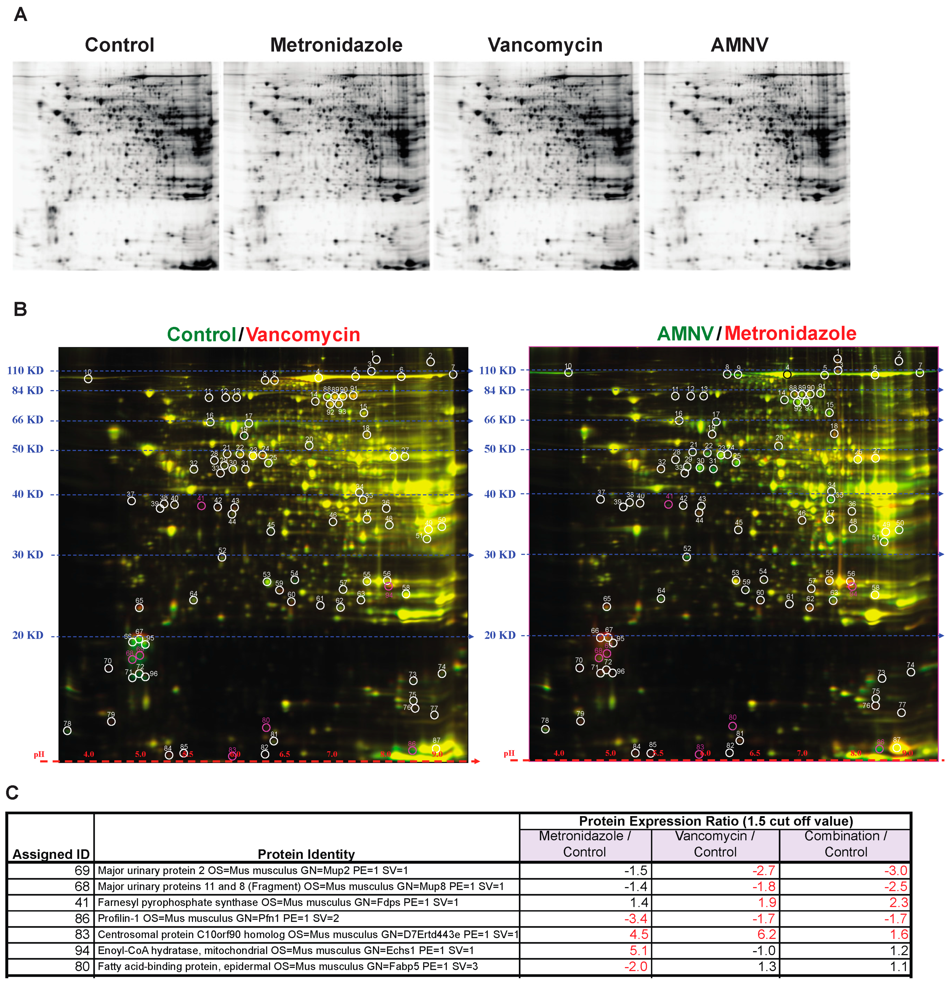 Ijms 20 00812 g004 Ijms 20 00812 g004