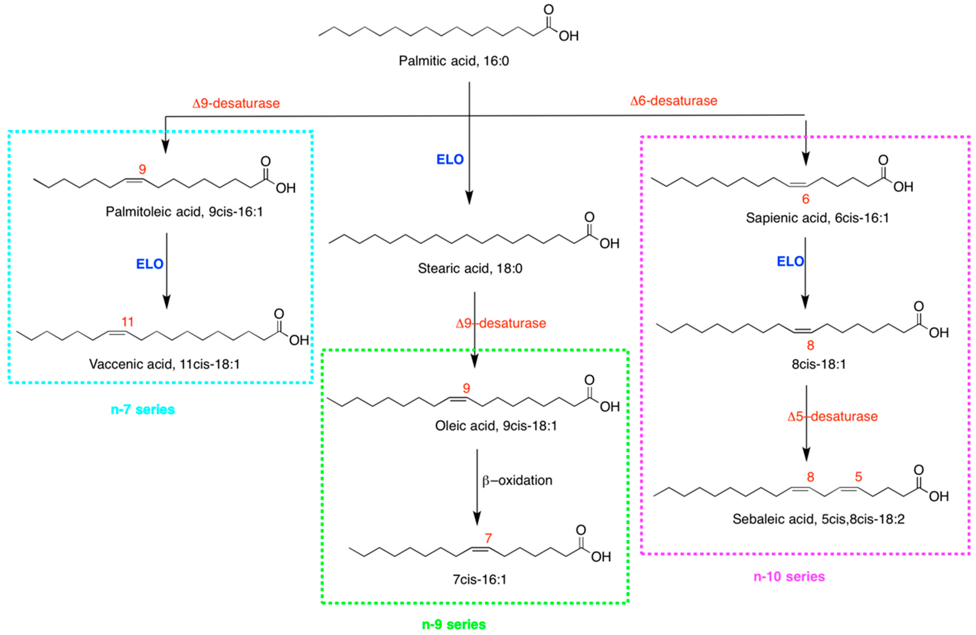 Ijms 20 00832 g001 Ijms 20 00832 g001