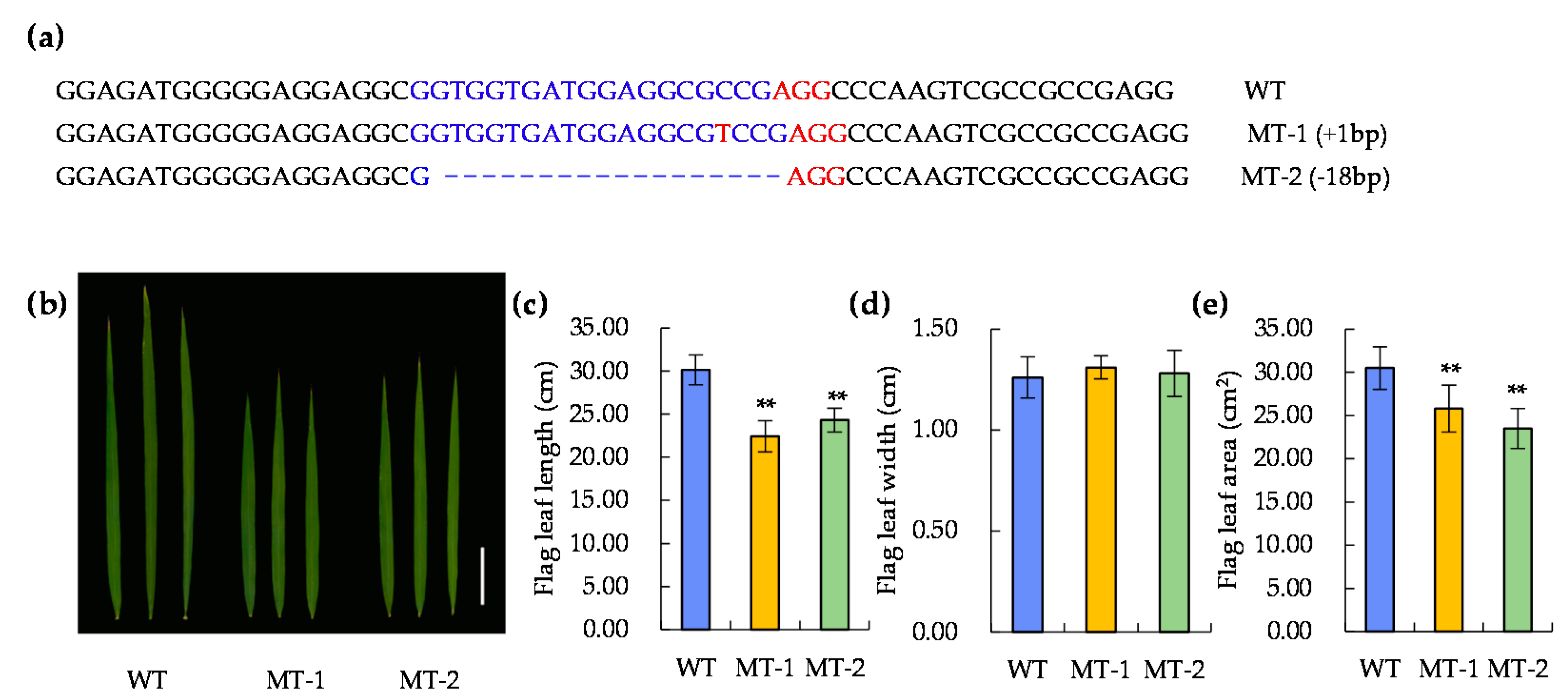 Ijms 20 00866 g008 Ijms 20 00866 g008