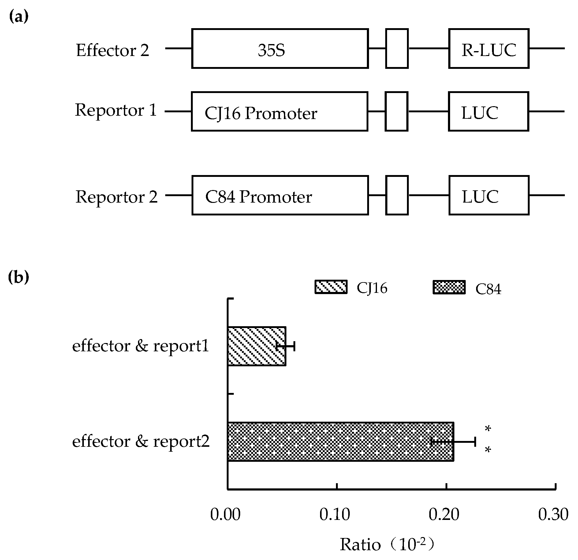Ijms 20 00866 g009 Ijms 20 00866 g009