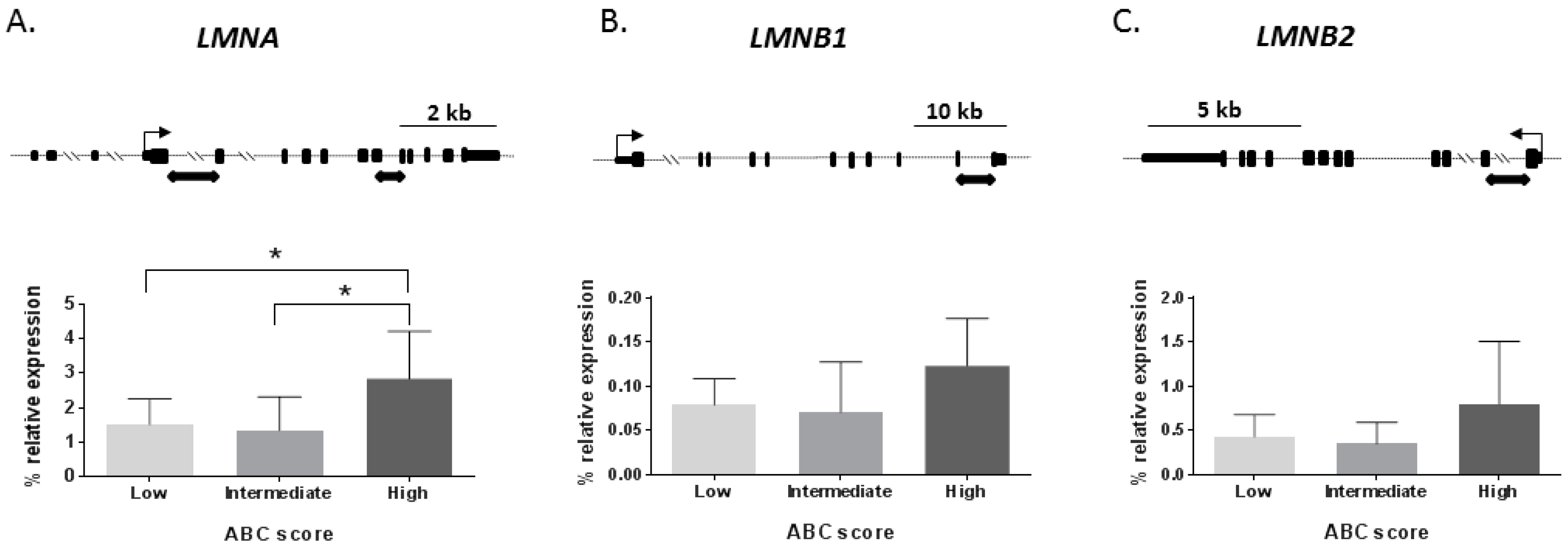 Ijms 20 00878 g001 Ijms 20 00878 g001