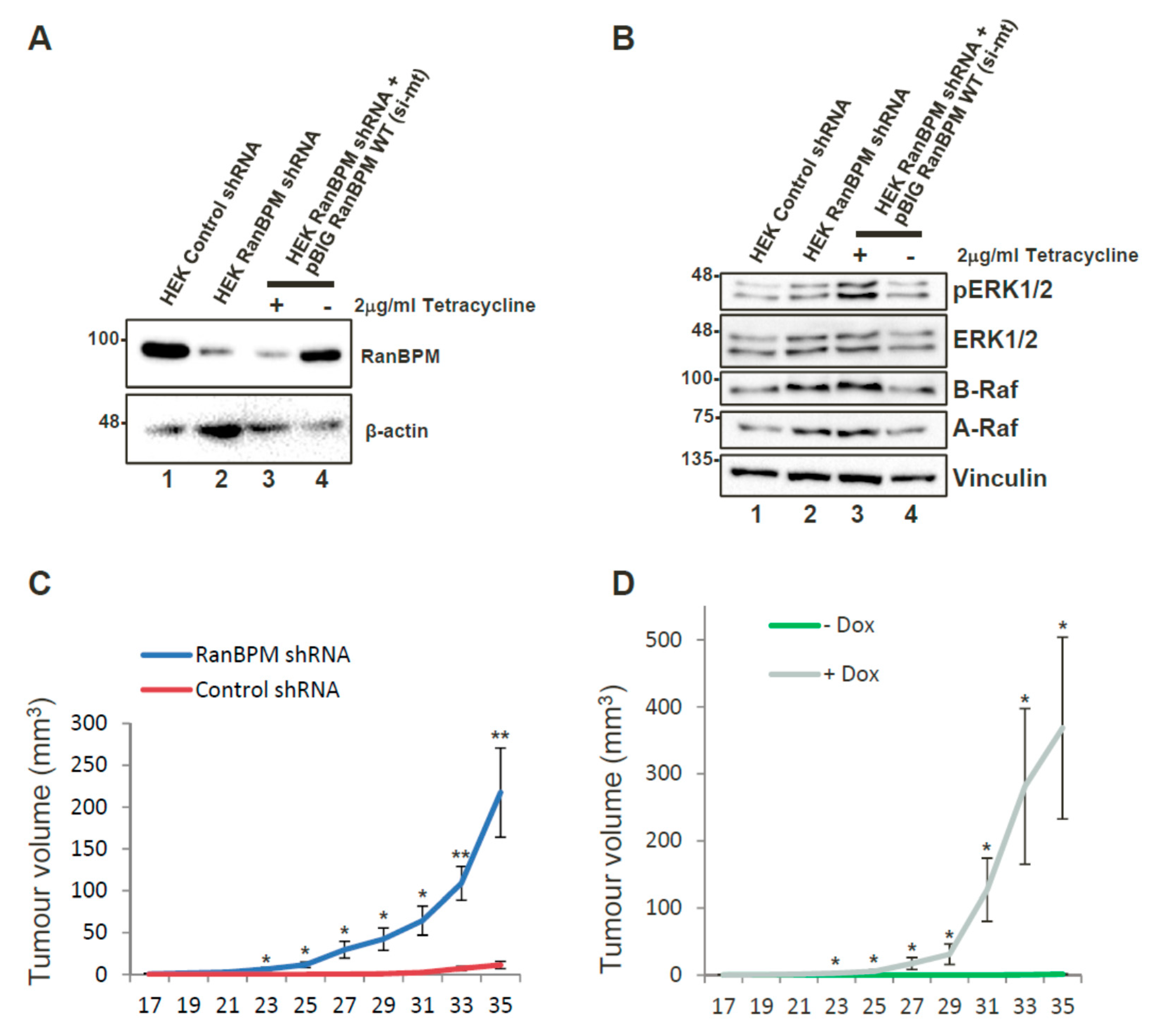 Ijms 20 00934 g002 Ijms 20 00934 g002