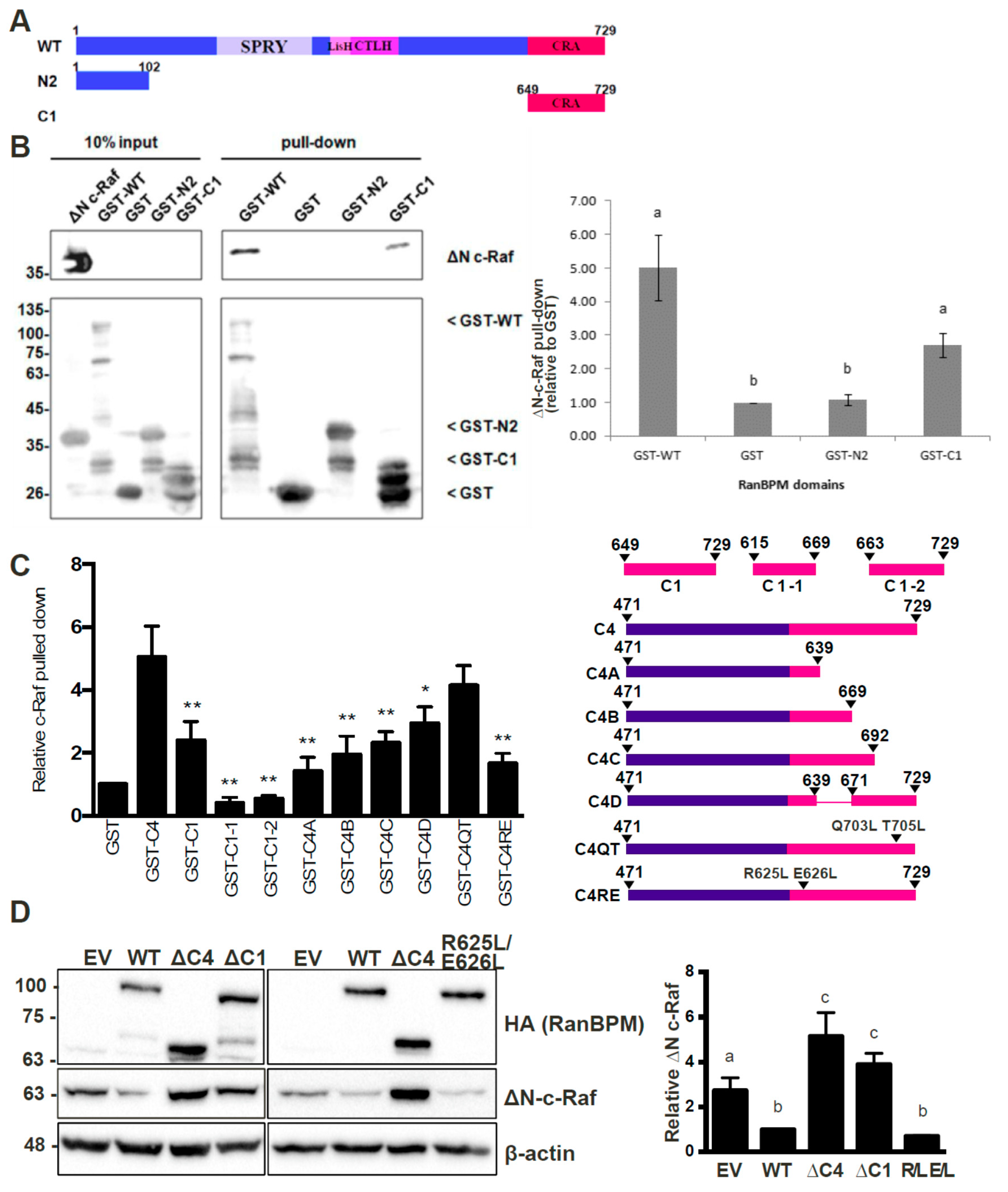 Ijms 20 00934 g005 Ijms 20 00934 g005