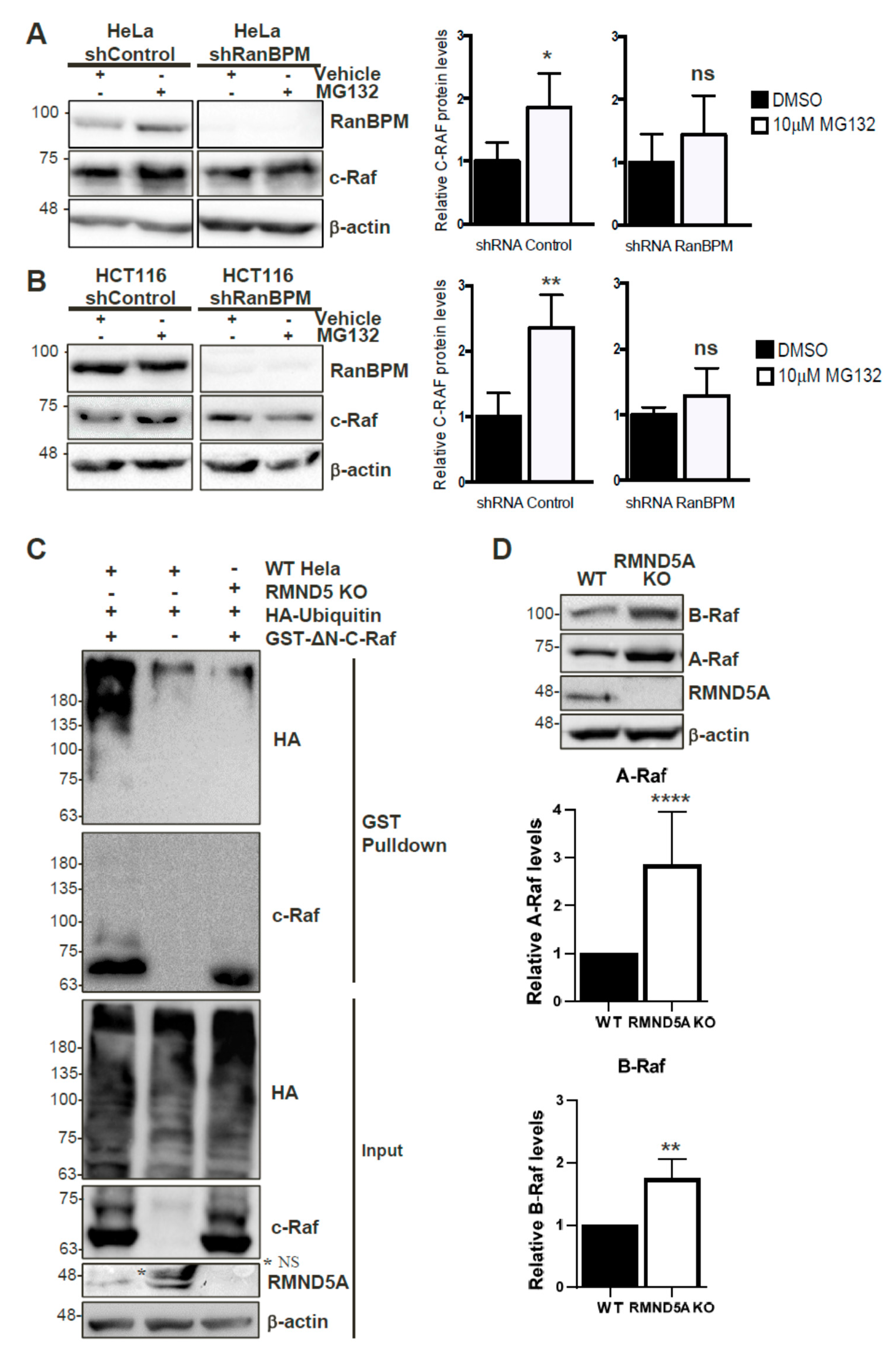 Ijms 20 00934 g006 Ijms 20 00934 g006