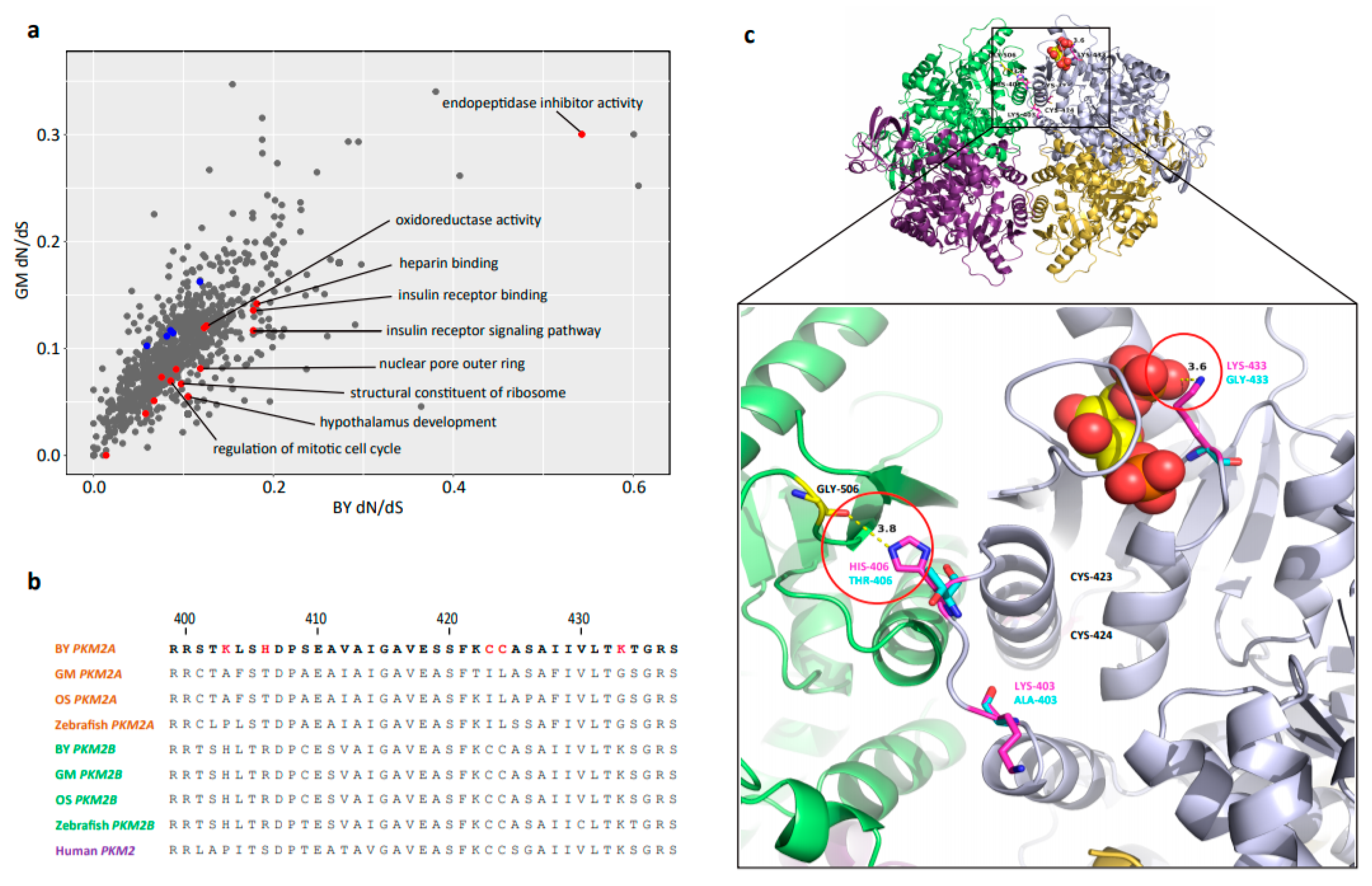 Ijms 20 00944 g005 Ijms 20 00944 g005