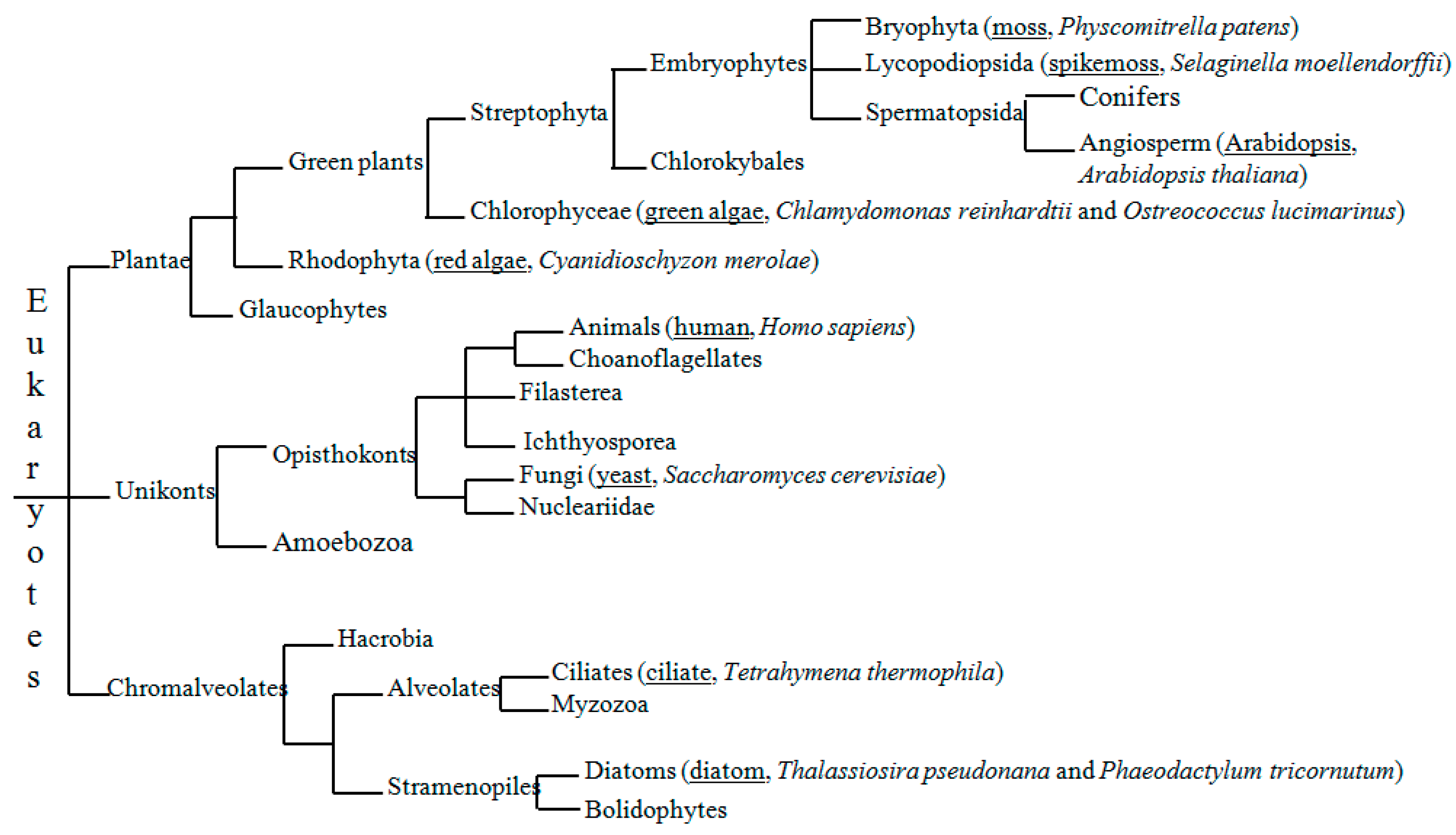 Ijms 20 00958 g002 Ijms 20 00958 g002