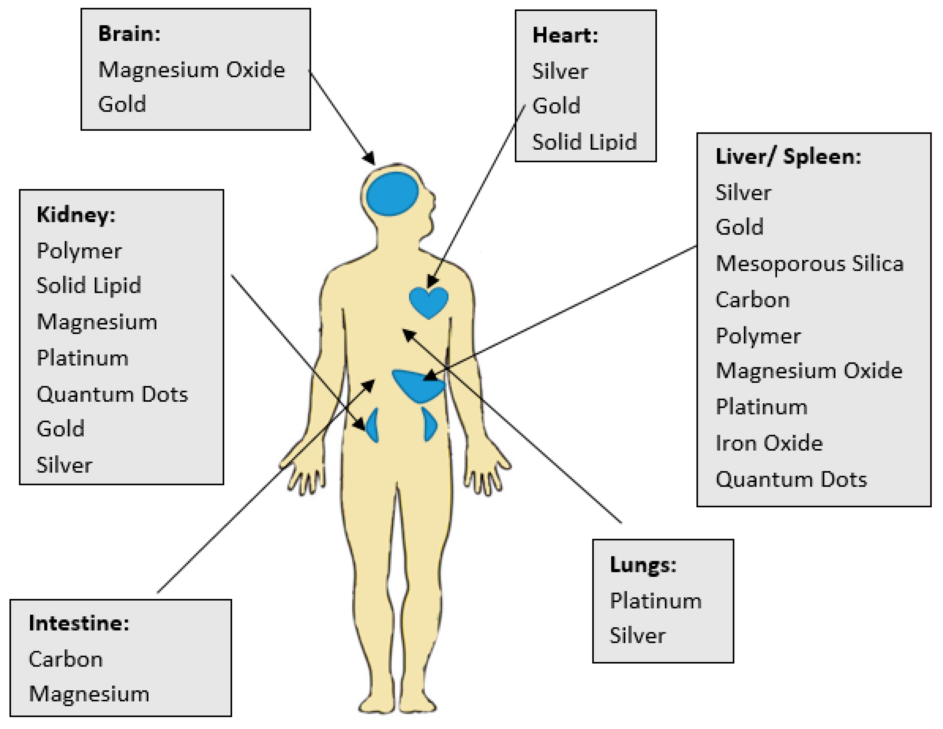 Ijms 20 00970 g002 Ijms 20 00970 g002