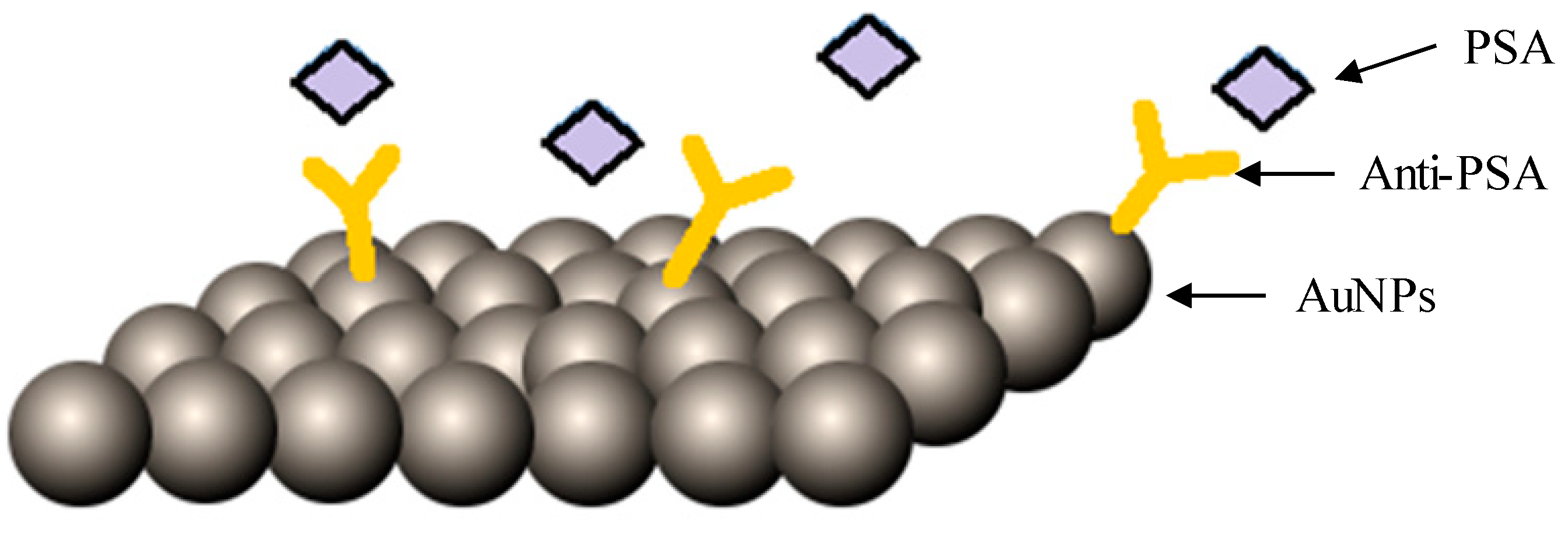 Ijms 20 00970 g005 Ijms 20 00970 g005