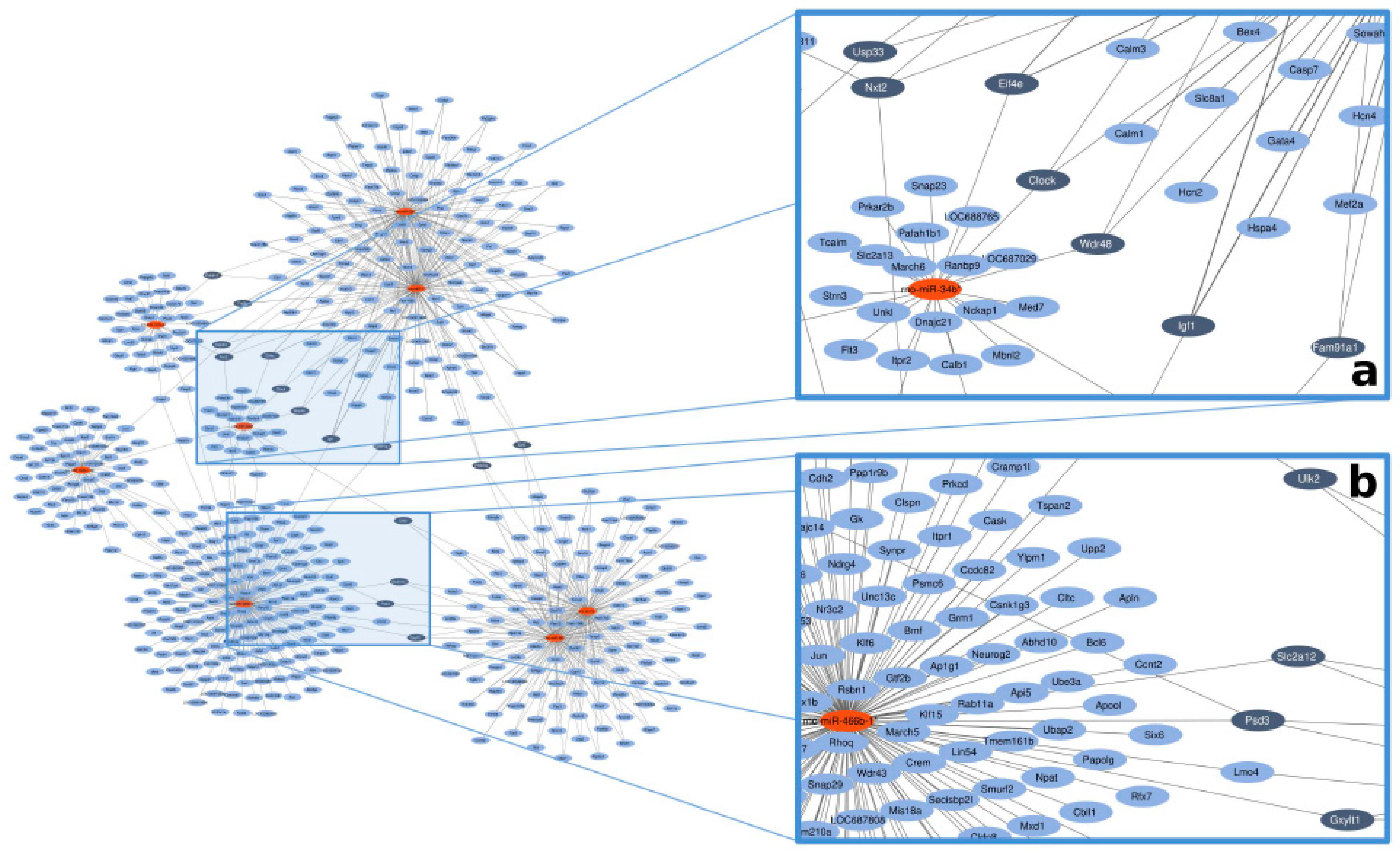 Ijms 20 00991 g001 Ijms 20 00991 g001