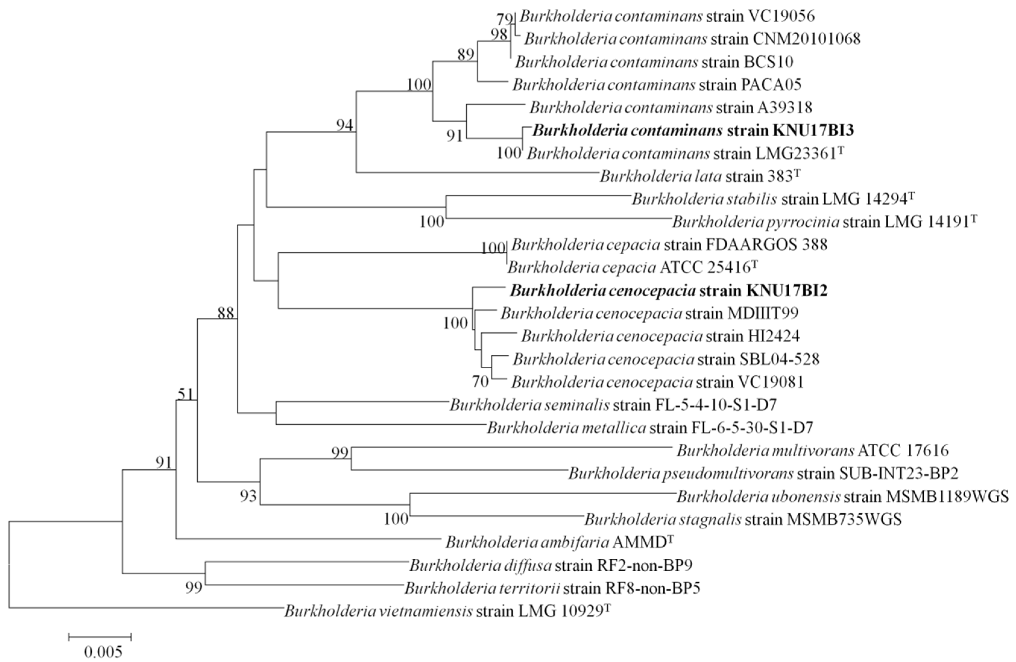 Ijms 20 01005 g002 Ijms 20 01005 g002