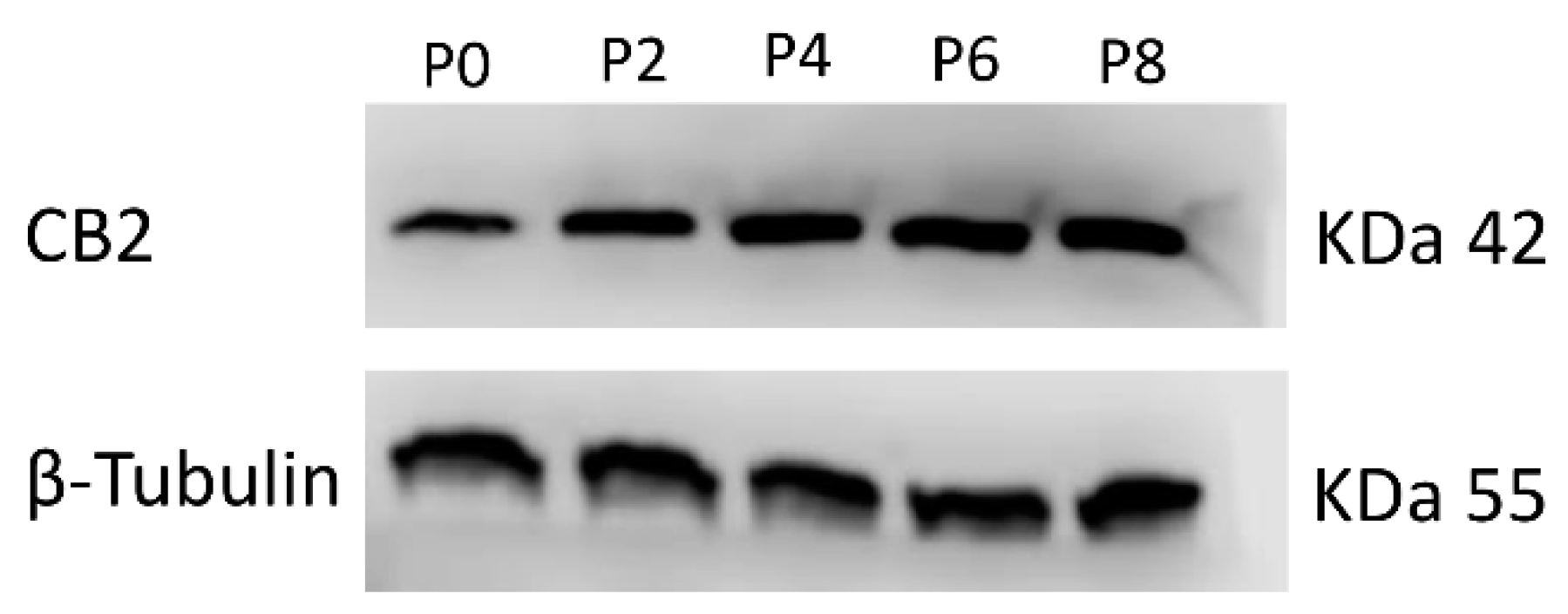 Ijms 20 01049 g001 Ijms 20 01049 g001