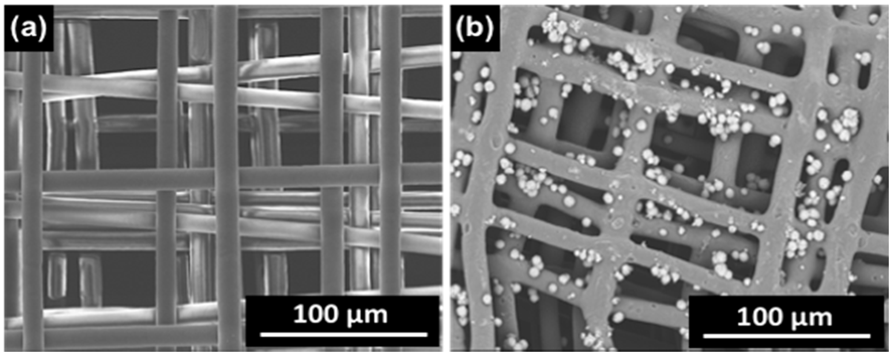 Ijms 20 01068 g001 Ijms 20 01068 g001