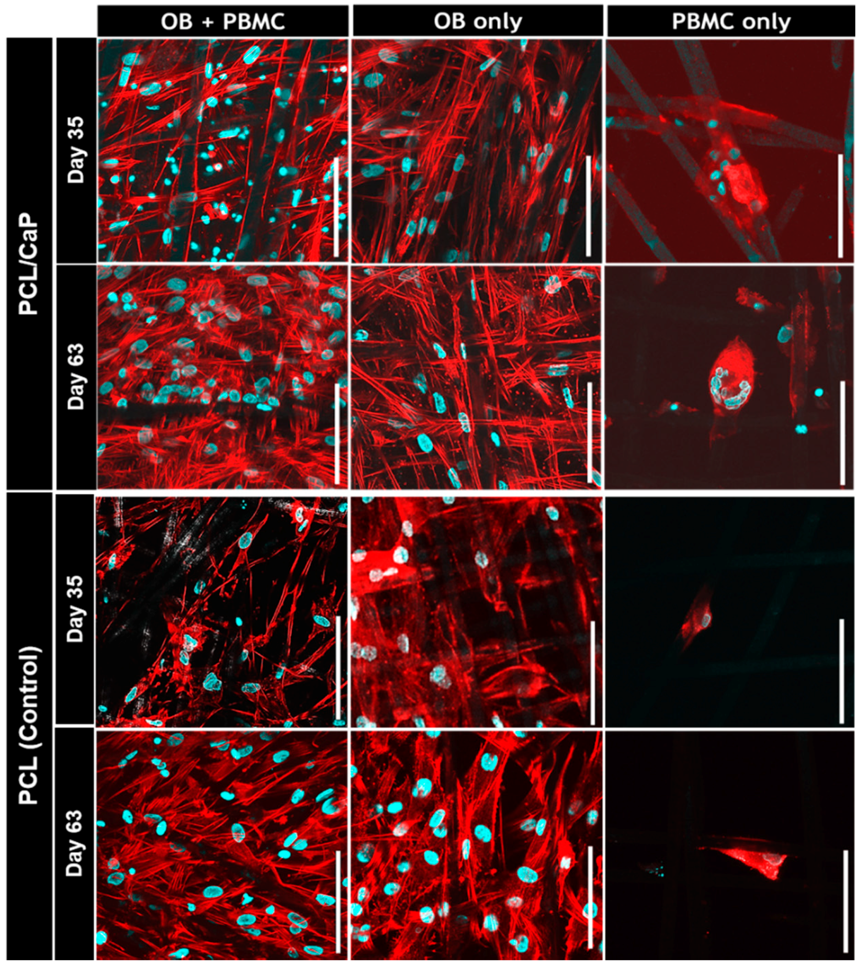 Ijms 20 01068 g002 Ijms 20 01068 g002