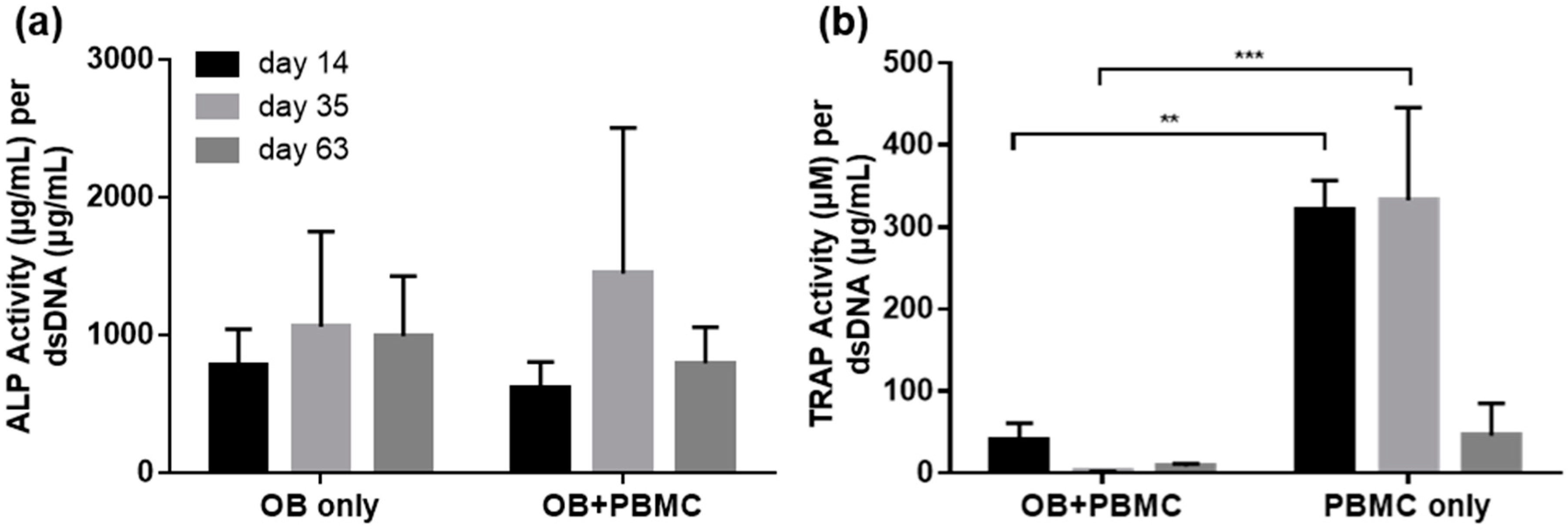 Ijms 20 01068 g004 Ijms 20 01068 g004
