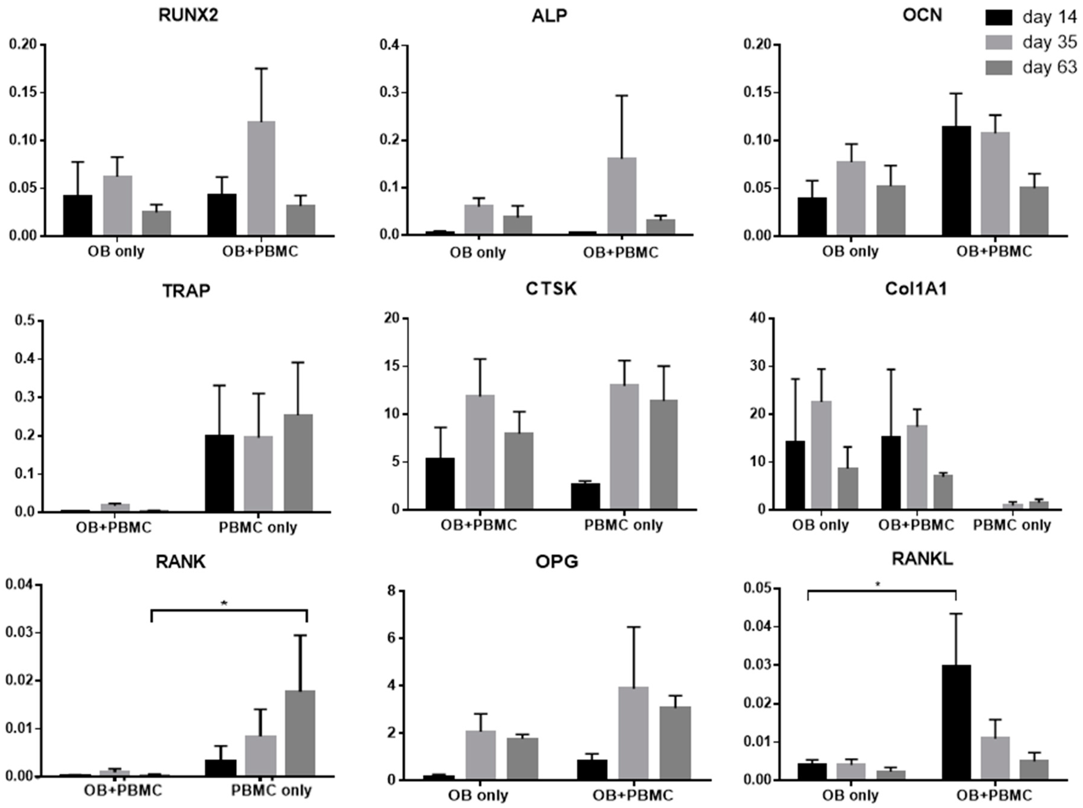 Ijms 20 01068 g005 Ijms 20 01068 g005