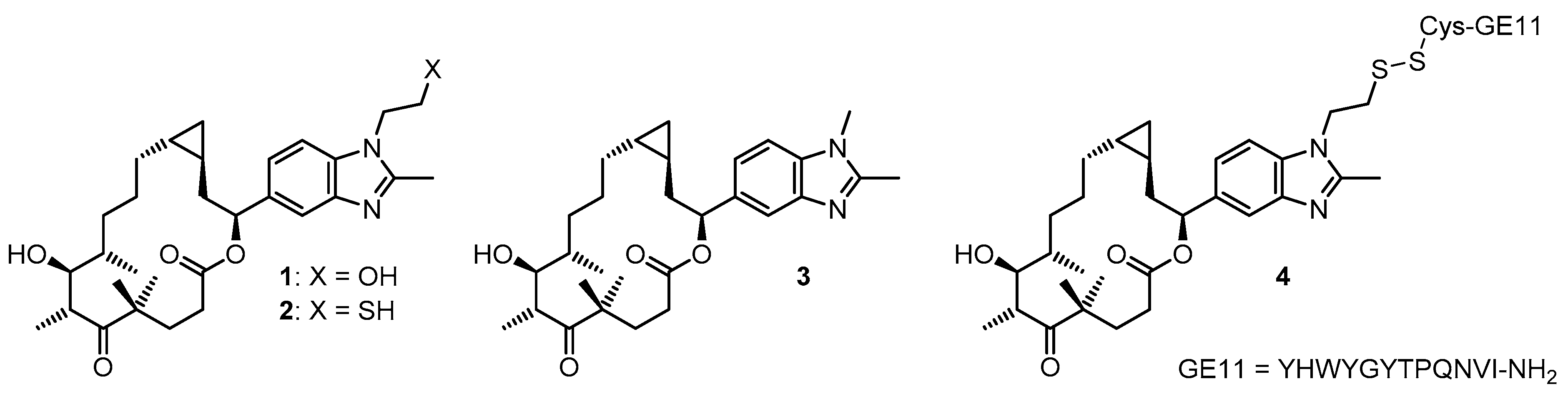 Ijms 20 01113 g002 Ijms 20 01113 g002