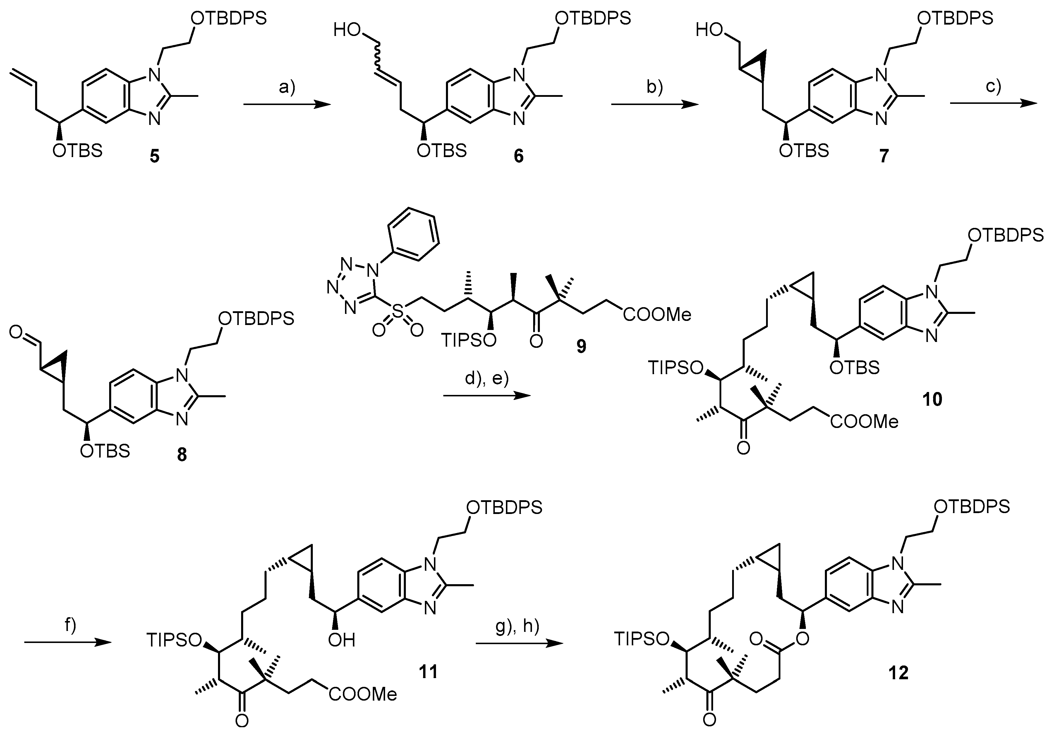 Ijms 20 01113 sch001 Ijms 20 01113 sch001