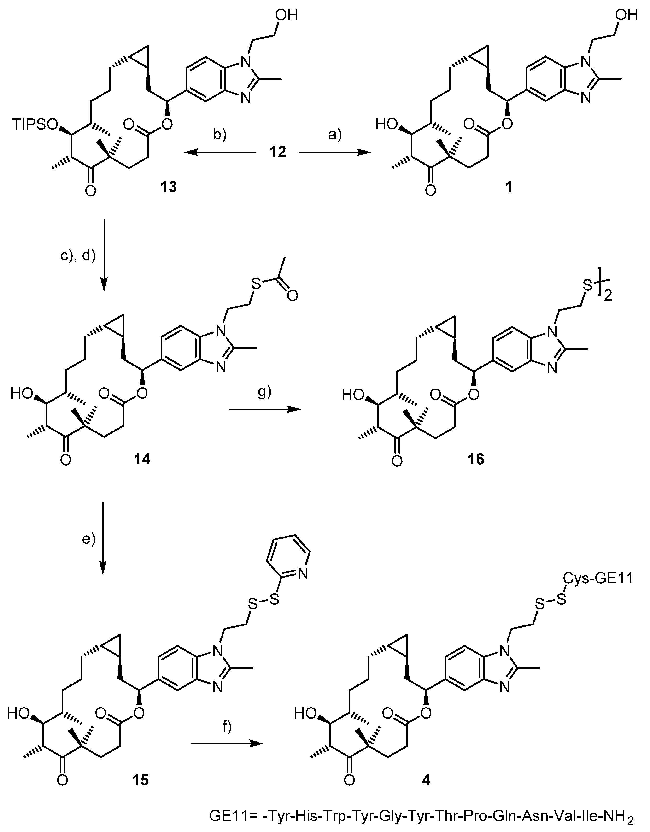 Ijms 20 01113 sch002 Ijms 20 01113 sch002