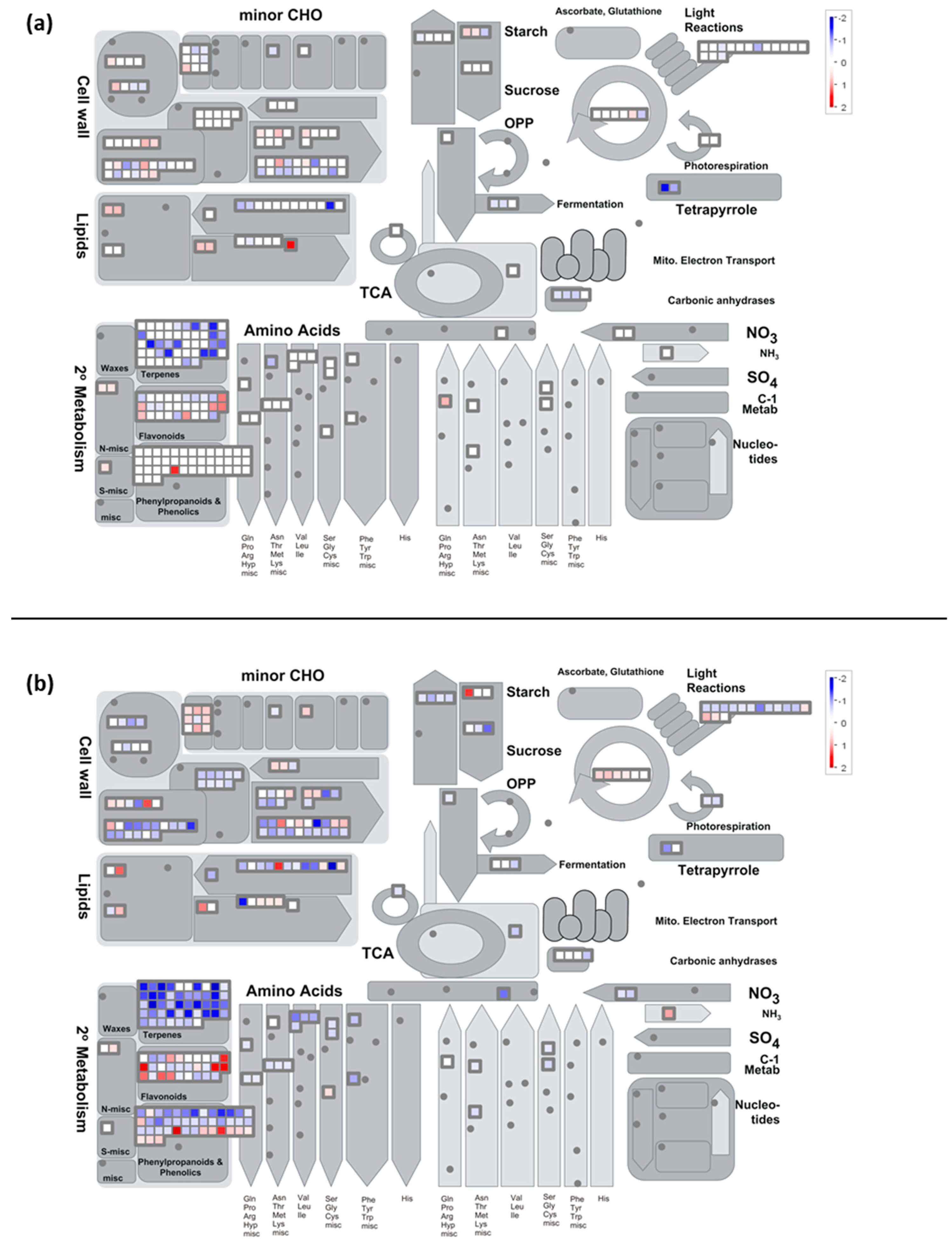 Ijms 20 01130 g005 Ijms 20 01130 g005