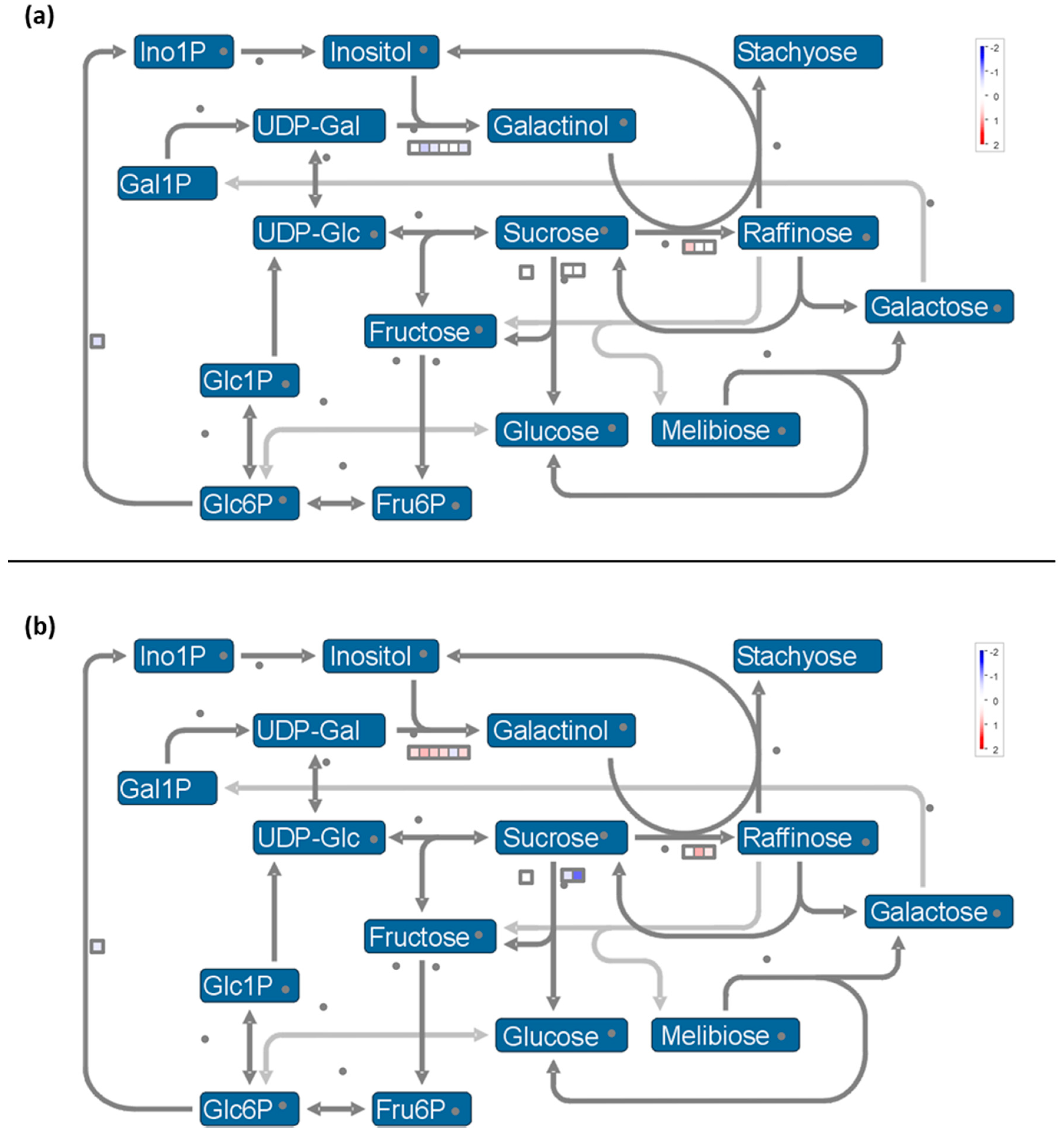 Ijms 20 01130 g007 Ijms 20 01130 g007