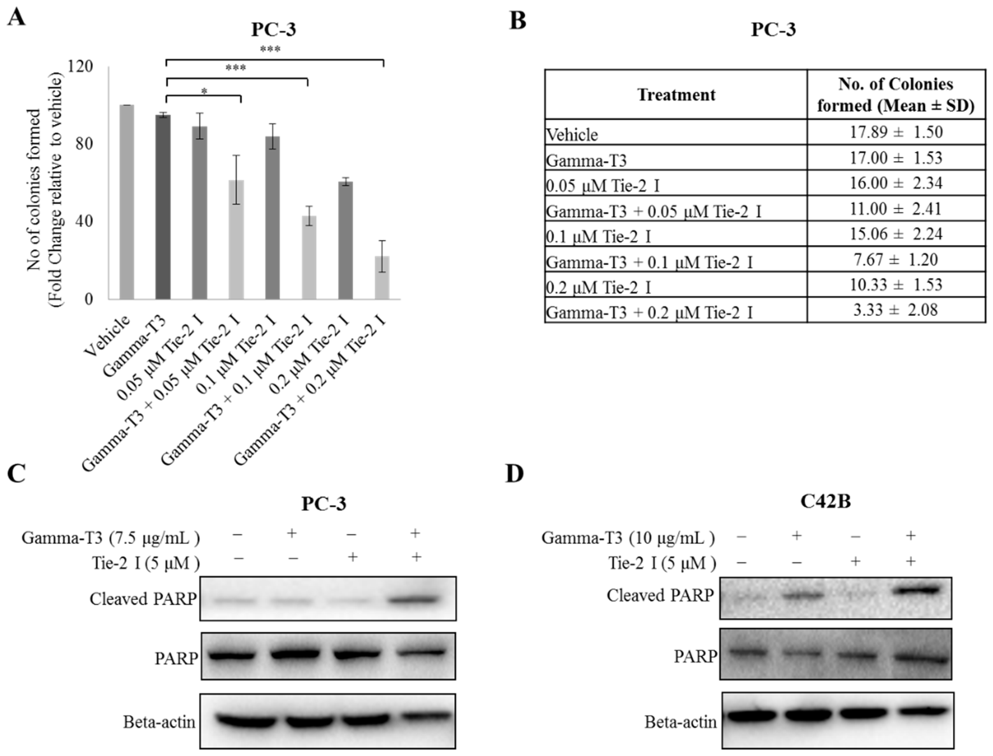 Ijms 20 01164 g003