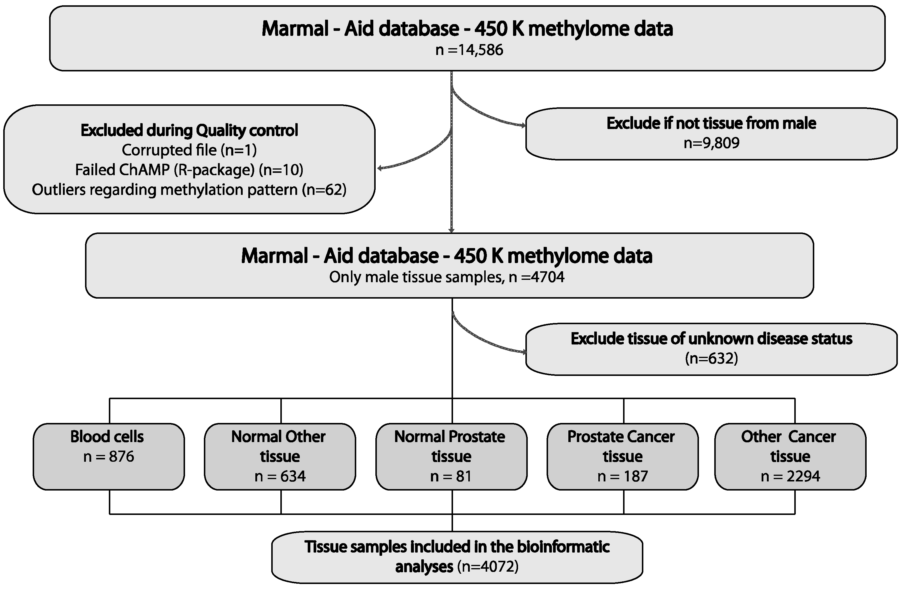 Ijms 20 01173 g001