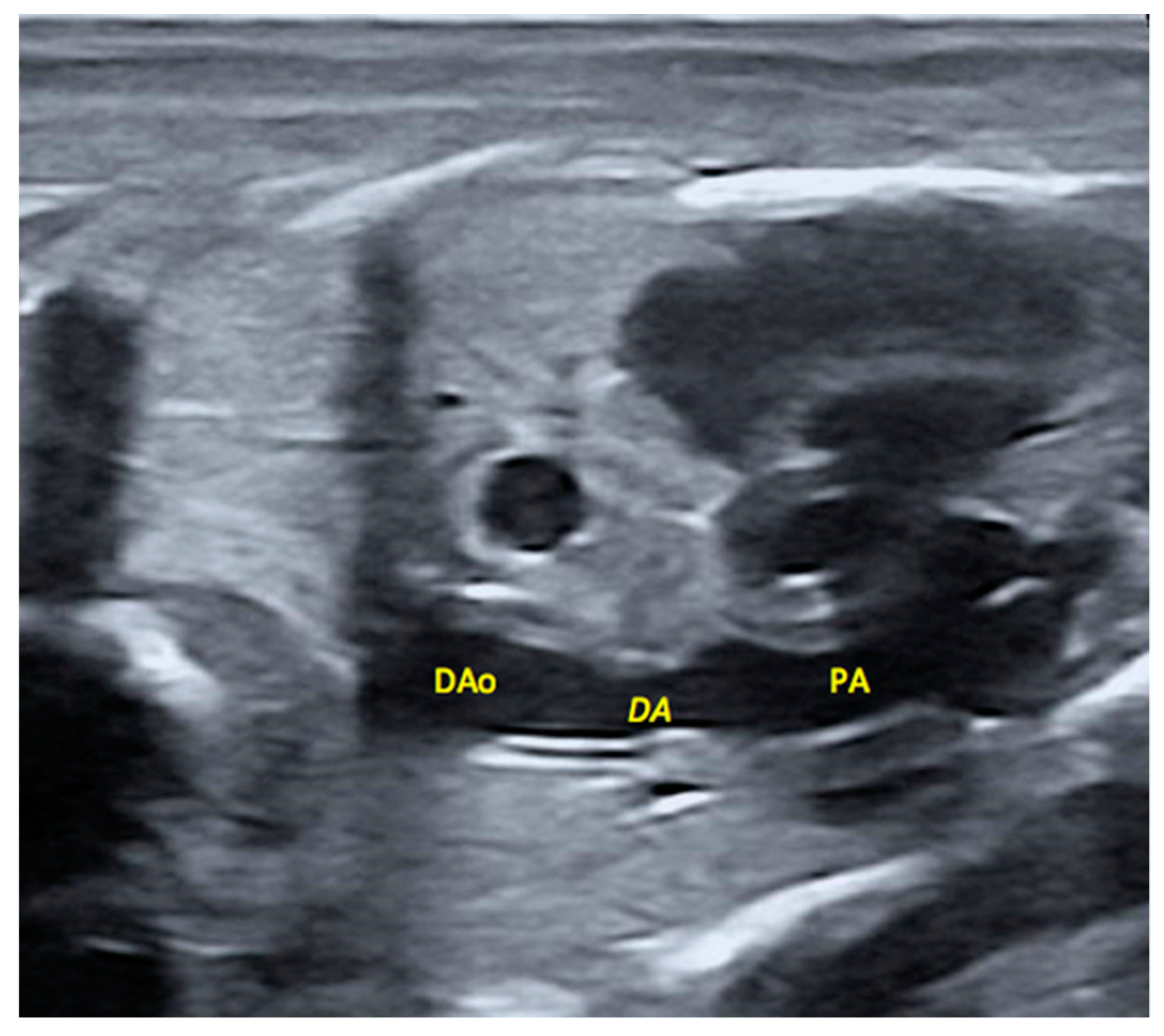 Ijms 20 01187 g002 Ijms 20 01187 g002