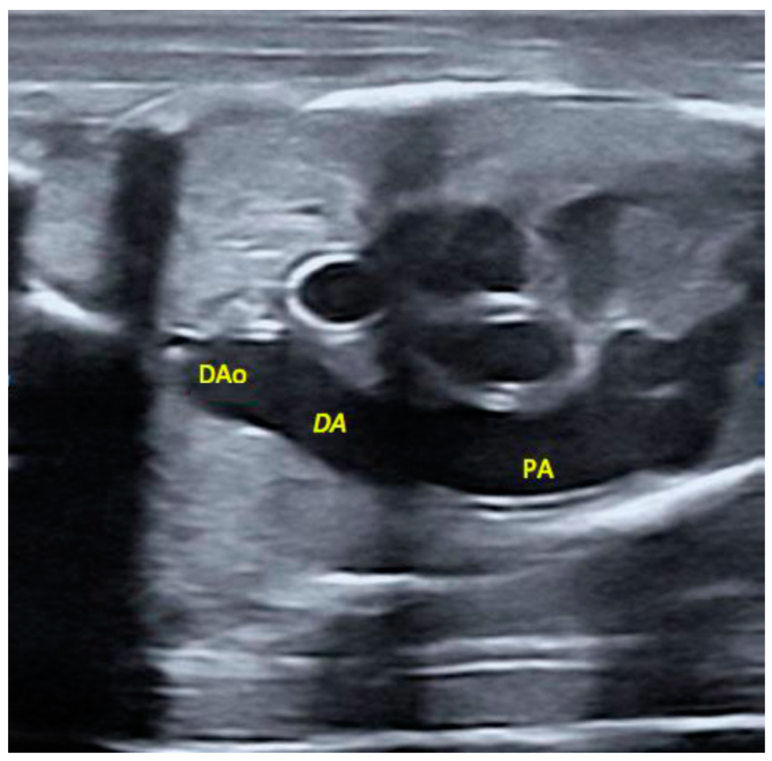 Ijms 20 01187 g003 Ijms 20 01187 g003