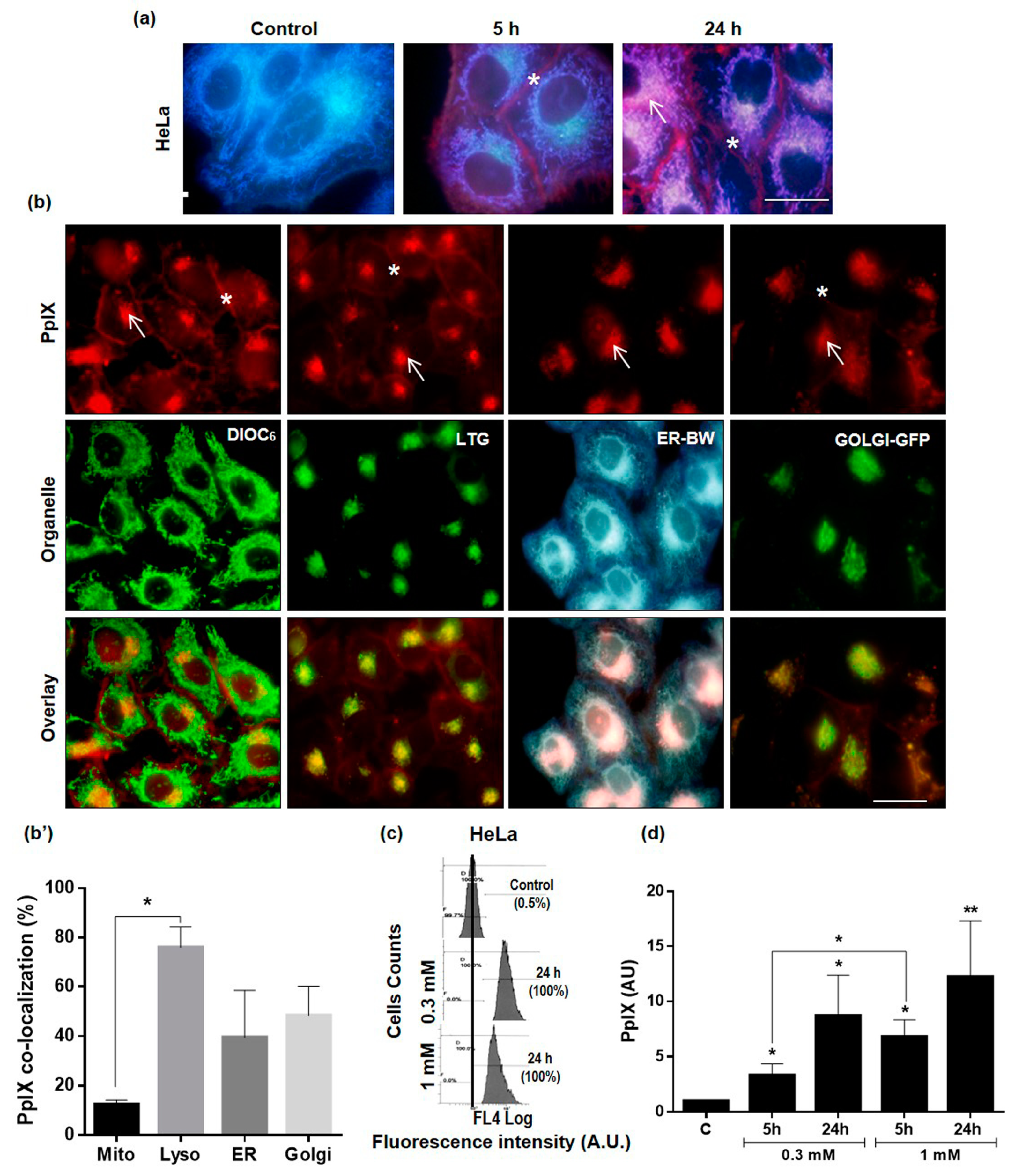 Ijms 20 01229 g002 Ijms 20 01229 g002