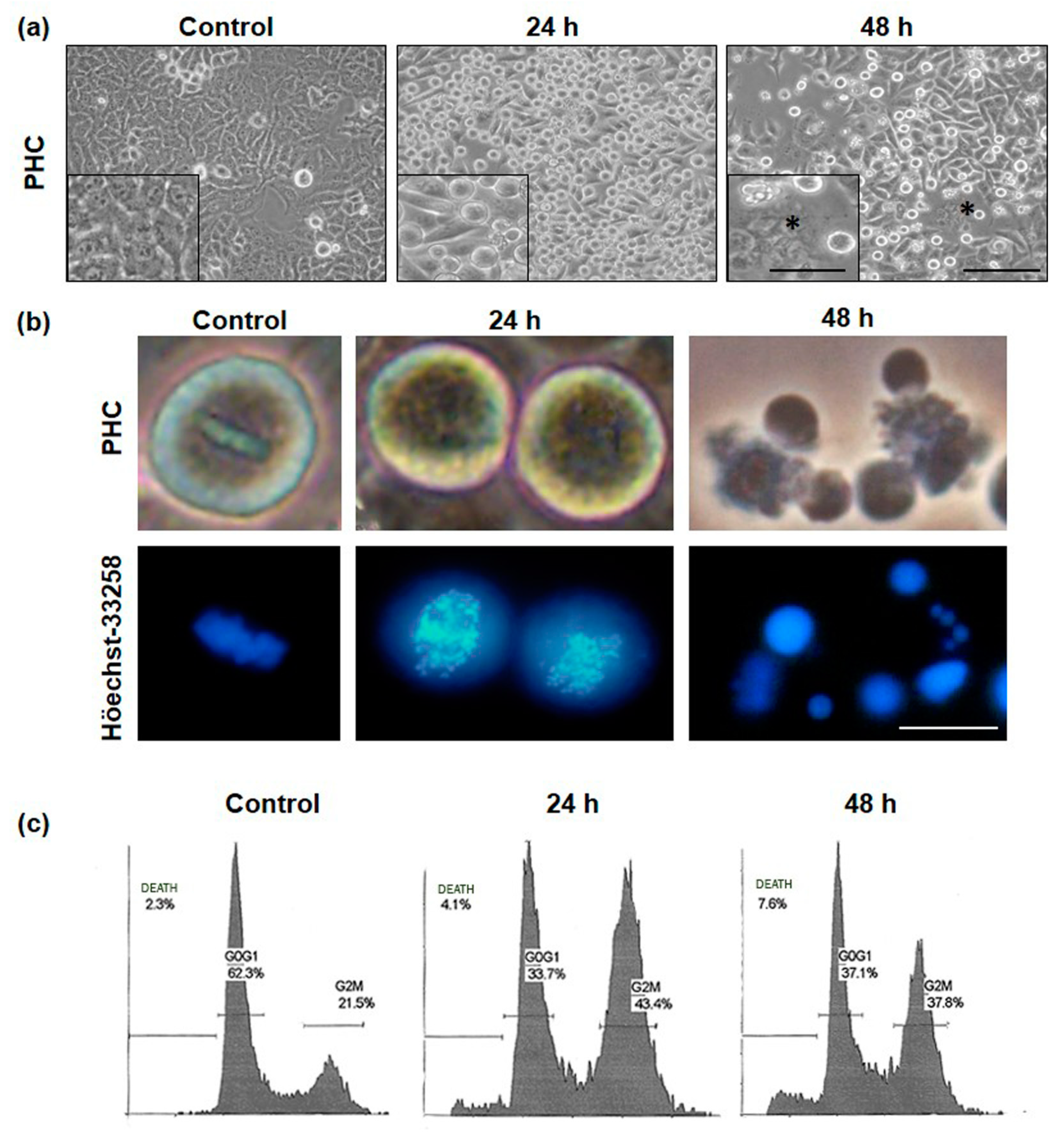 Ijms 20 01229 g003 Ijms 20 01229 g003