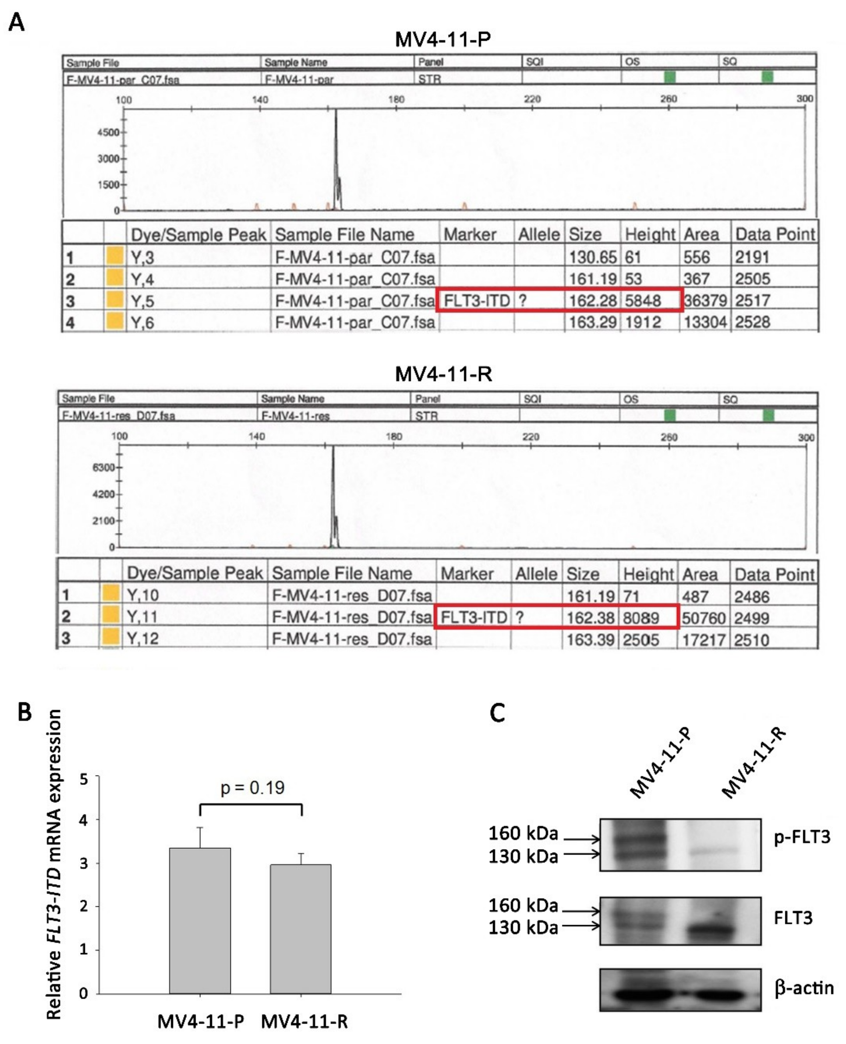 Ijms 20 01230 g001