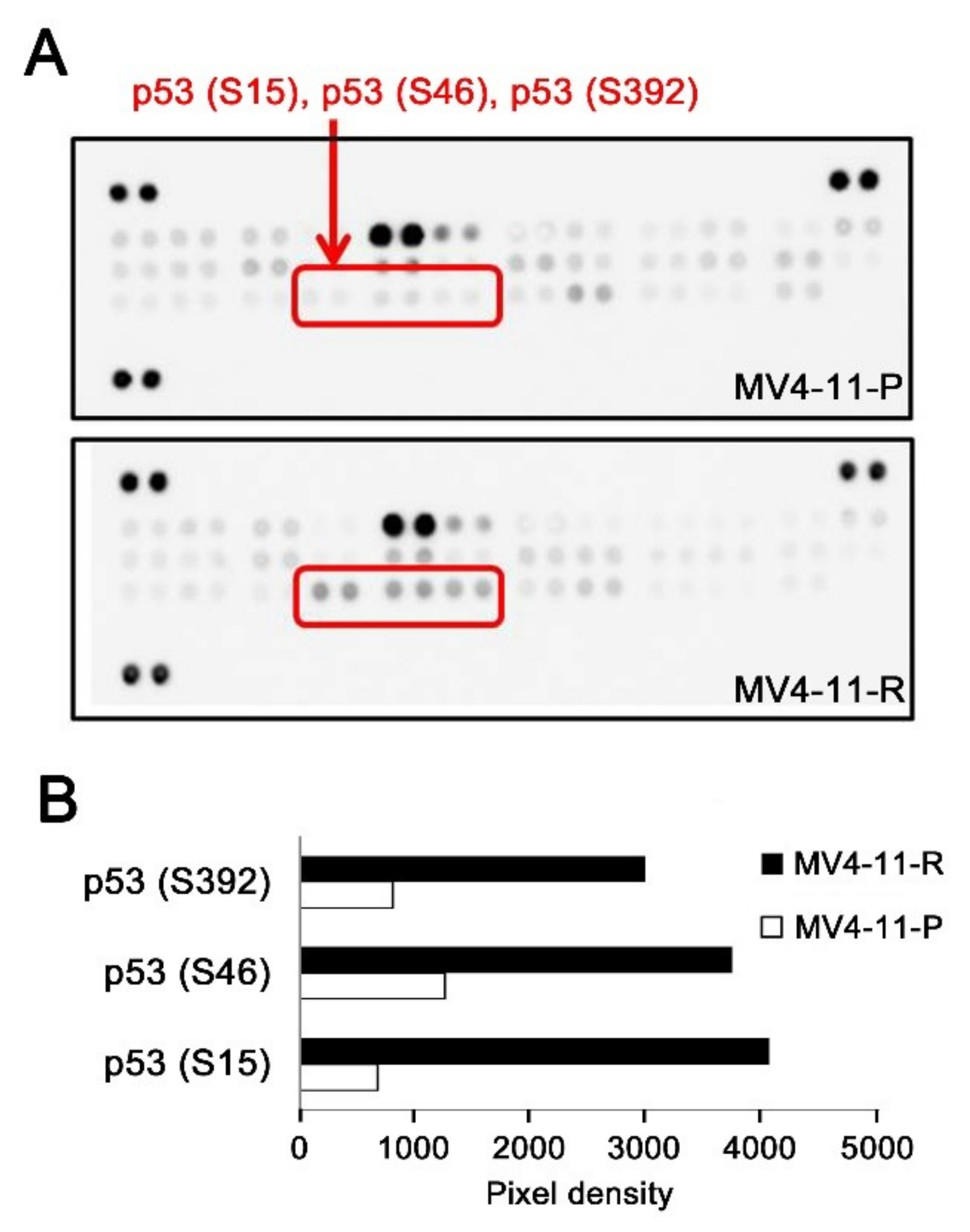 Ijms 20 01230 g003