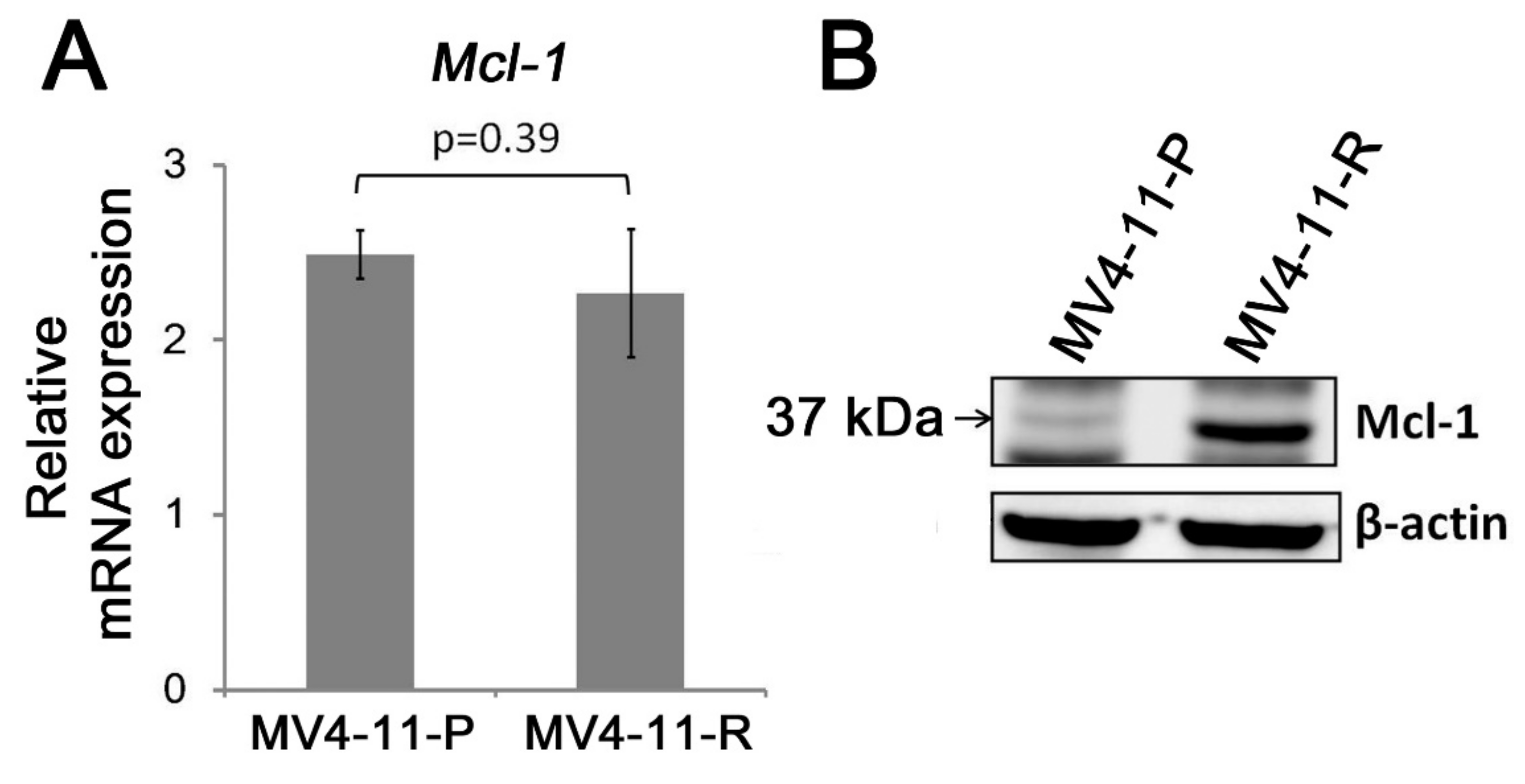 Ijms 20 01230 g004