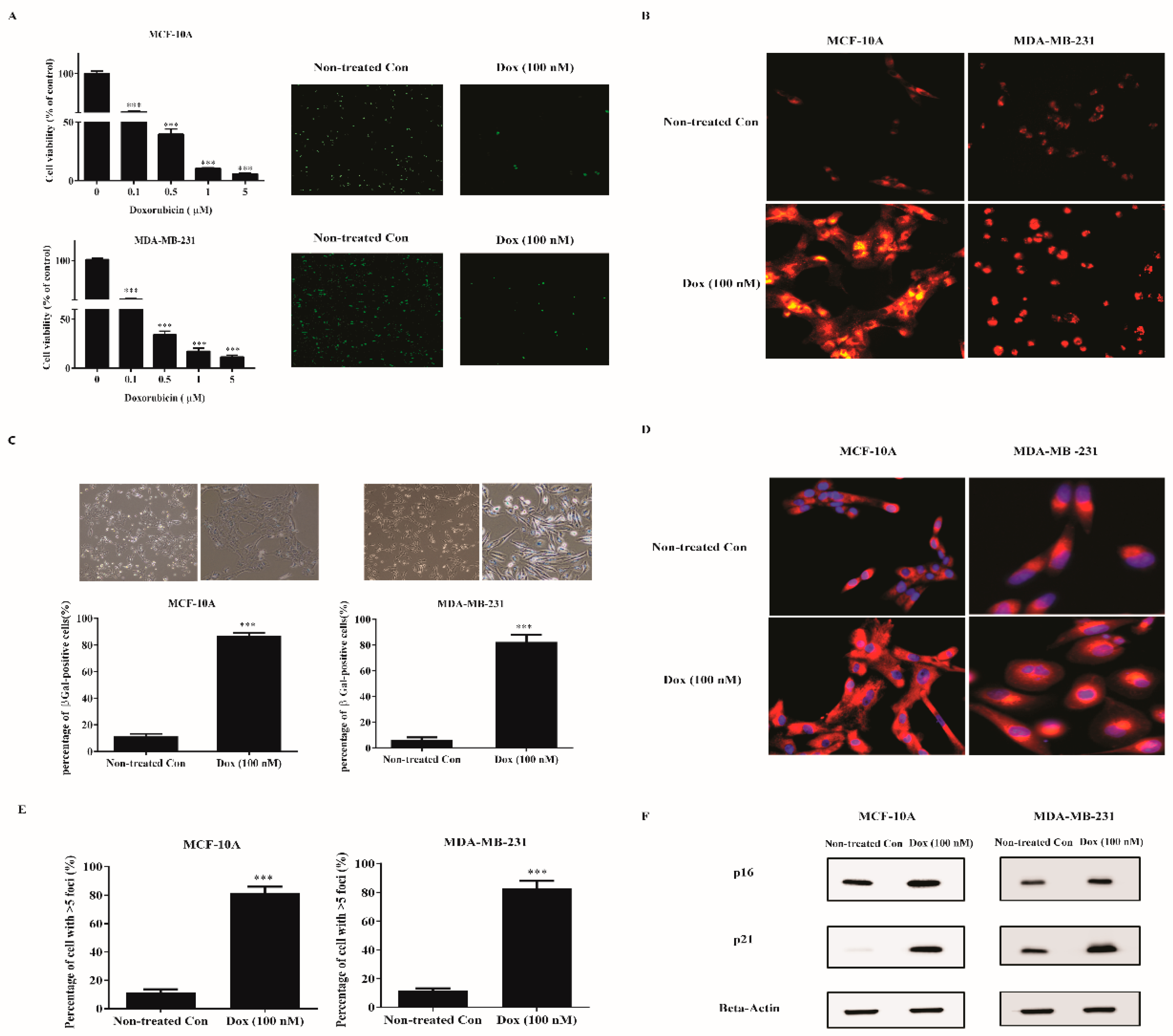 Ijms 20 01244 g001 Ijms 20 01244 g001