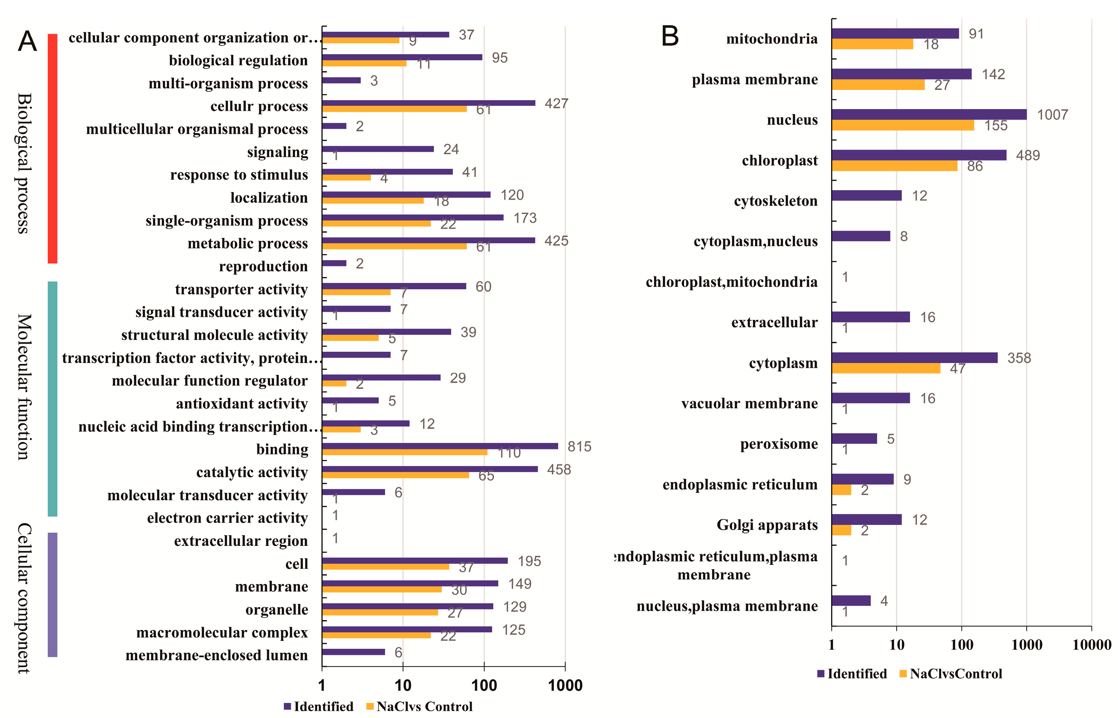 Ijms 20 01262 g002 Ijms 20 01262 g002