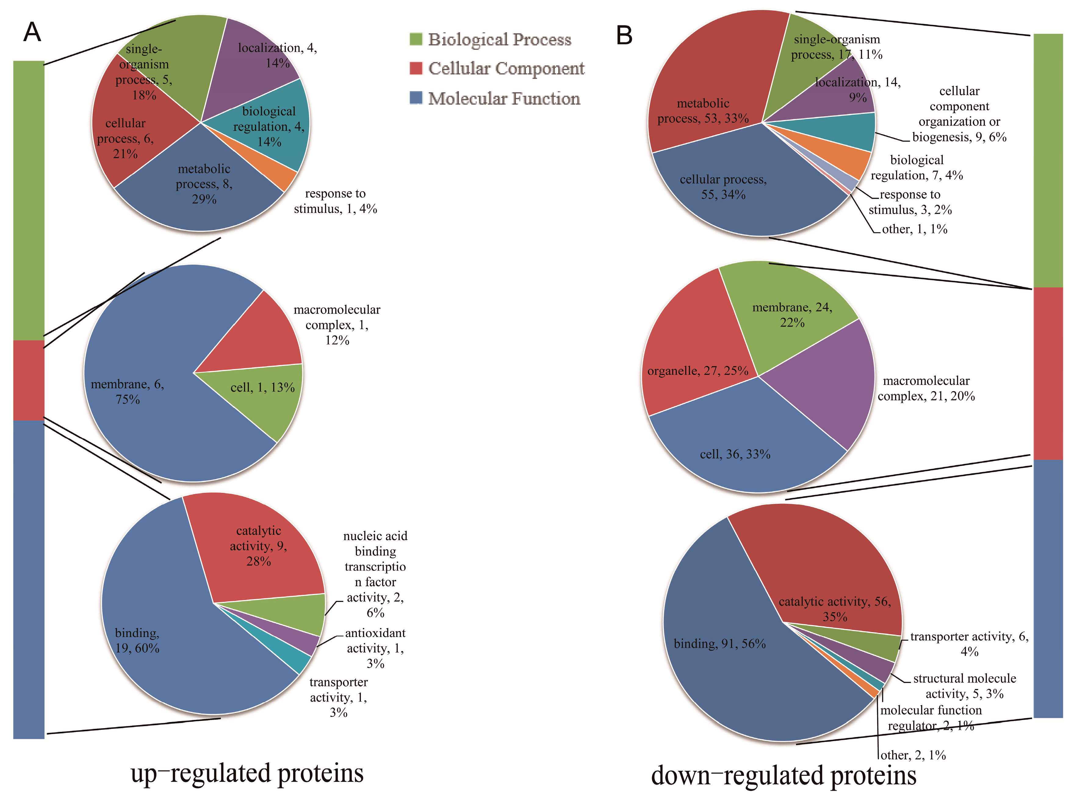Ijms 20 01262 g004 Ijms 20 01262 g004
