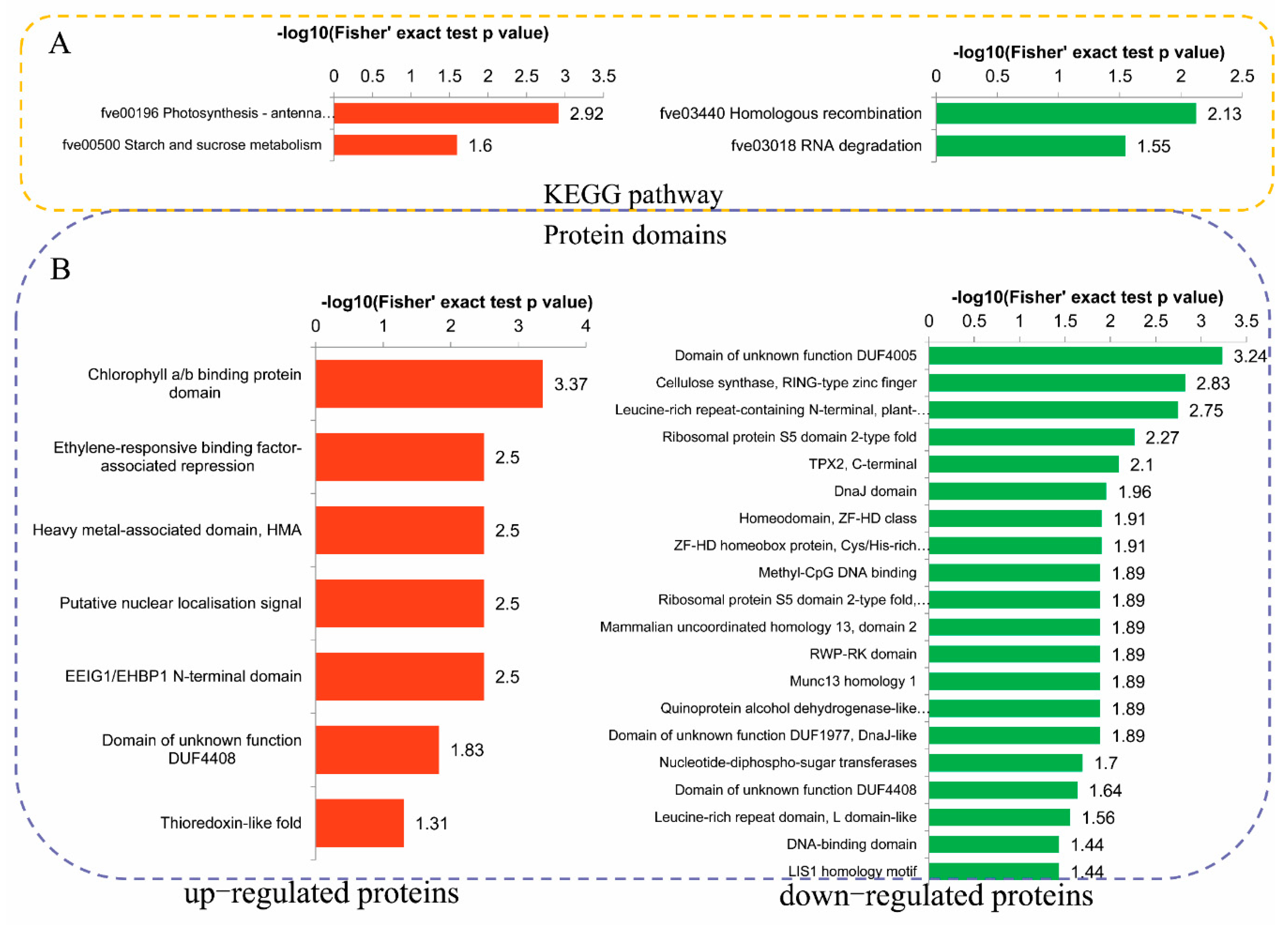Ijms 20 01262 g005 Ijms 20 01262 g005