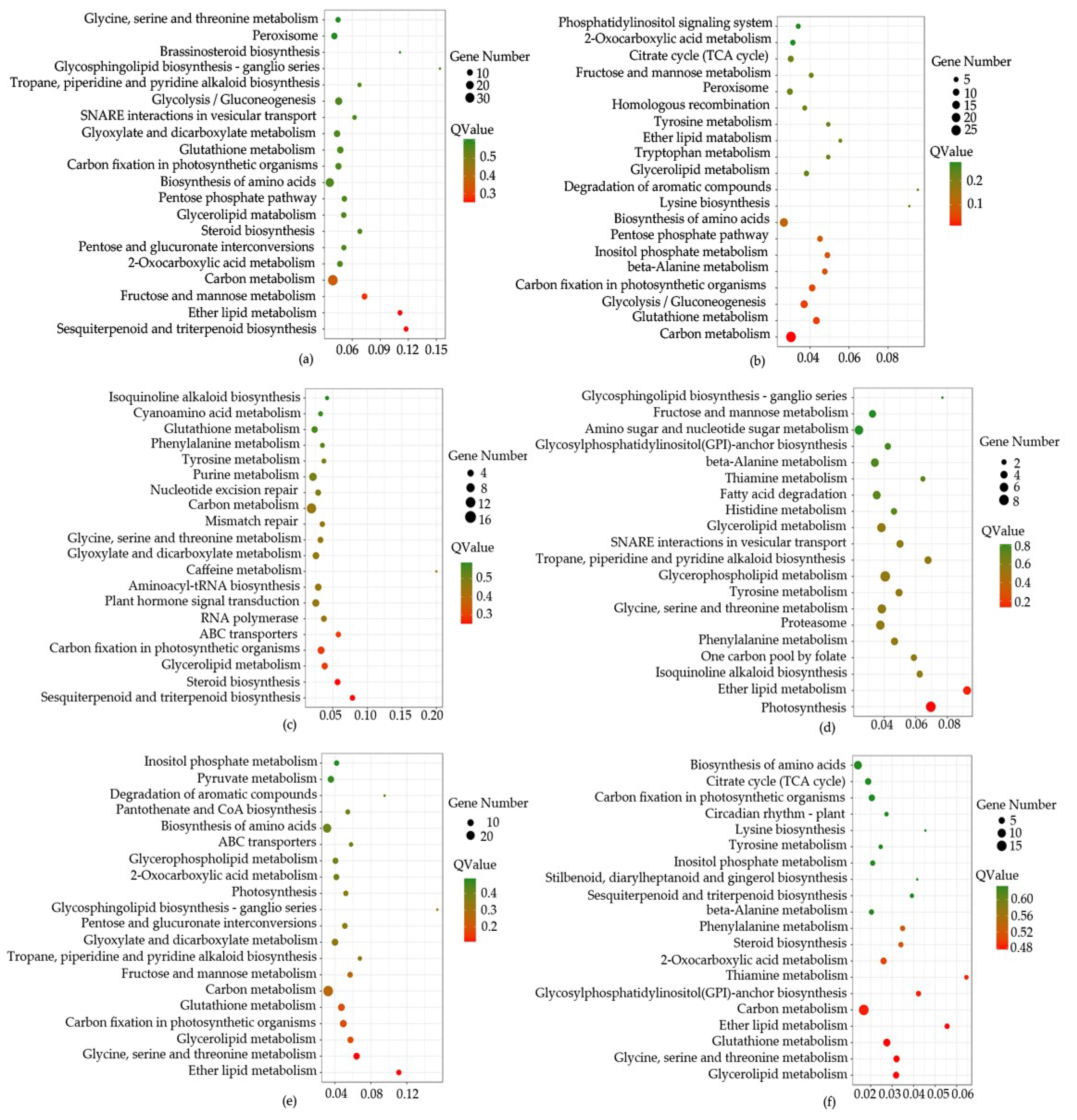 Ijms 20 01267 g005 Ijms 20 01267 g005