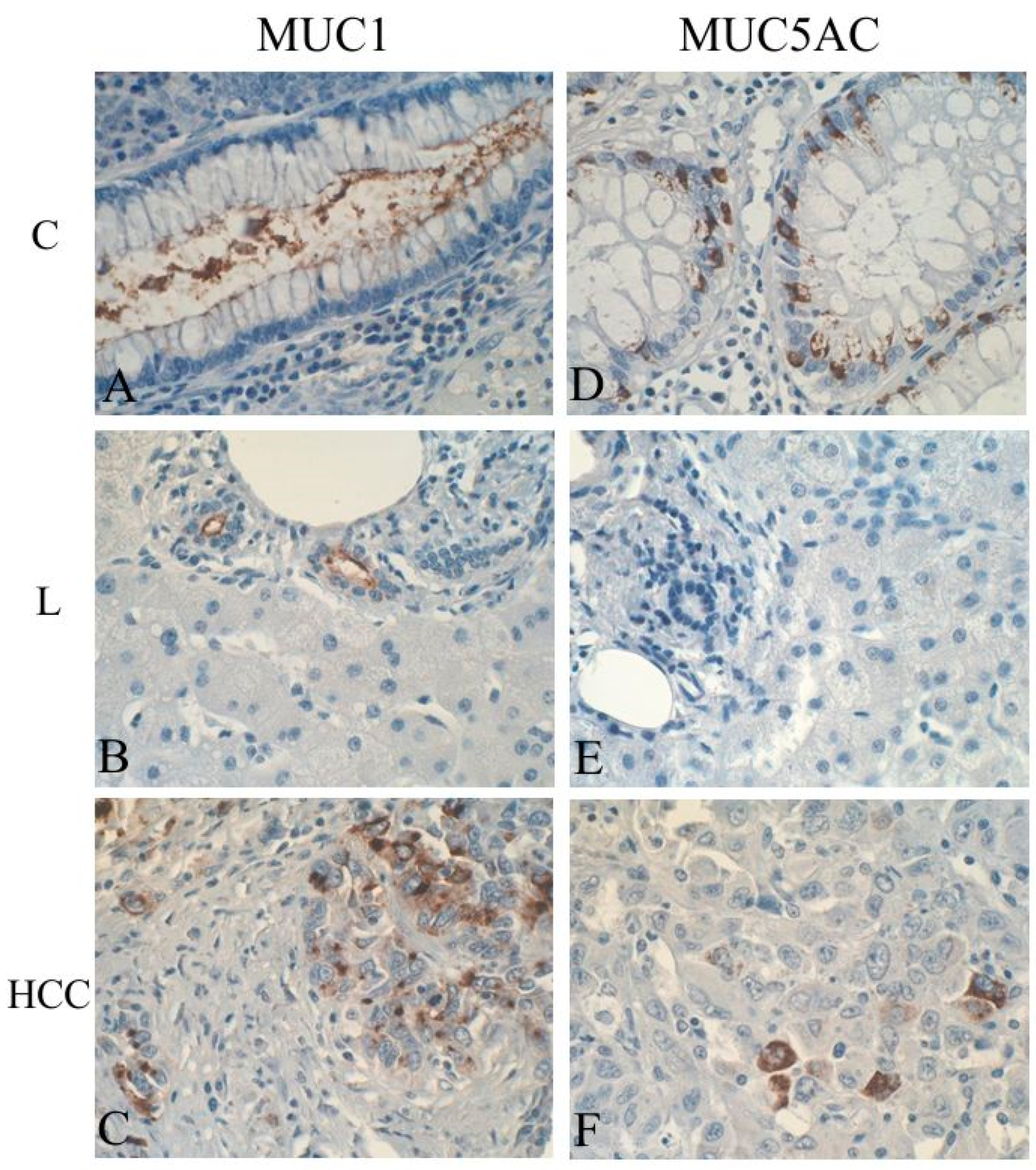 Ijms 20 01288 g002