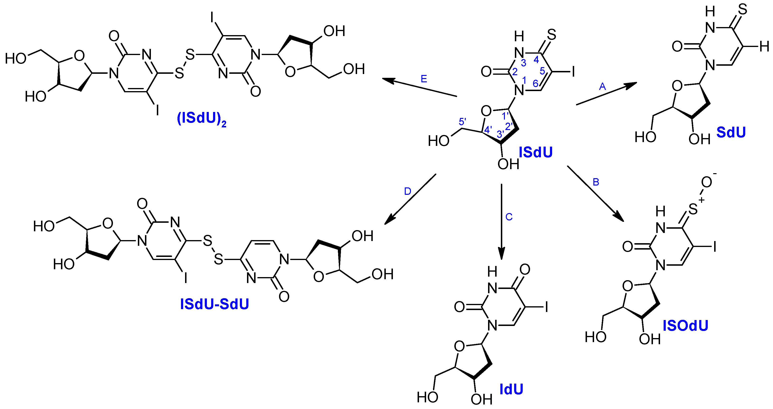 Ijms 20 01308 sch001