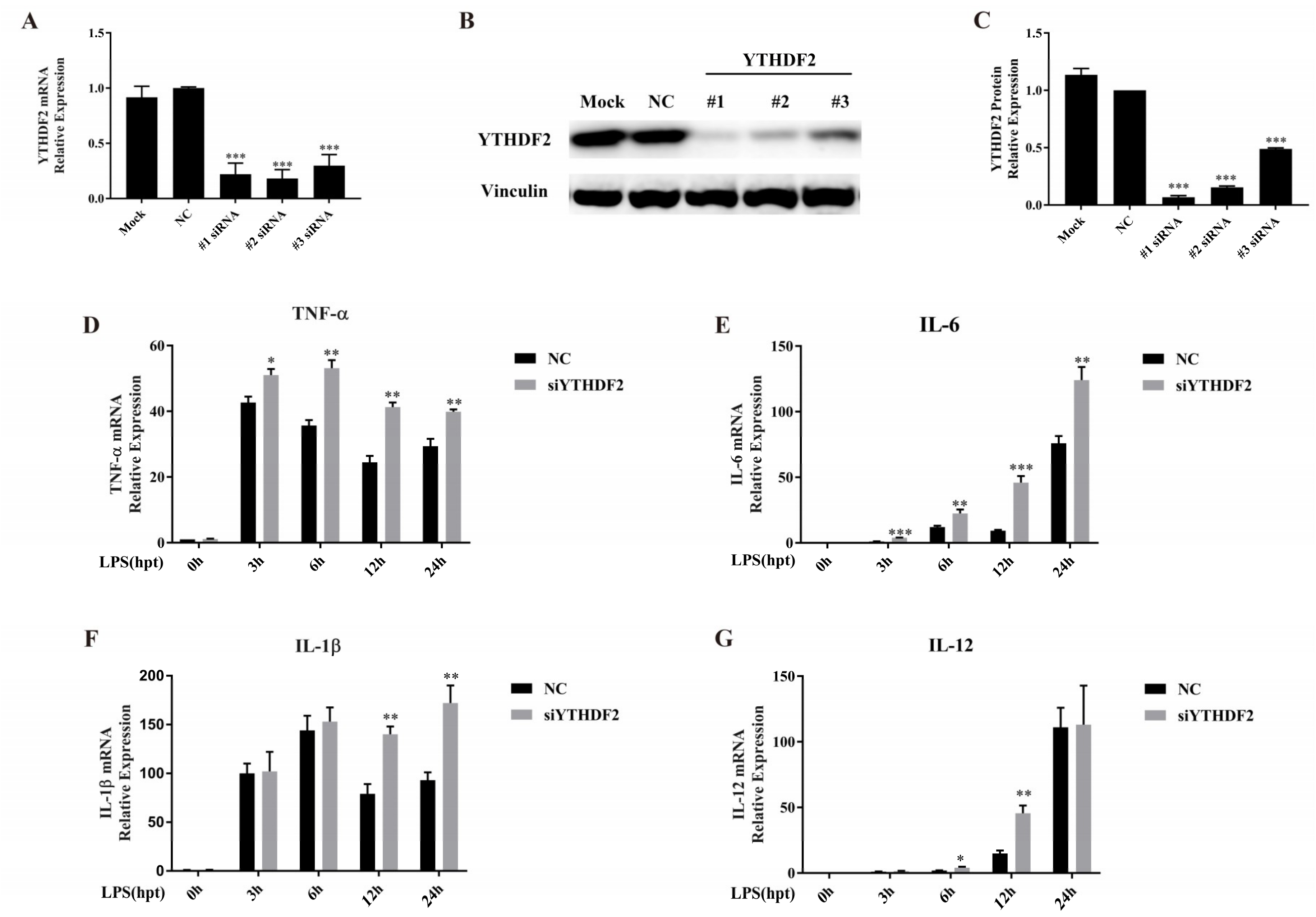 Ijms 20 01323 g002 Ijms 20 01323 g002