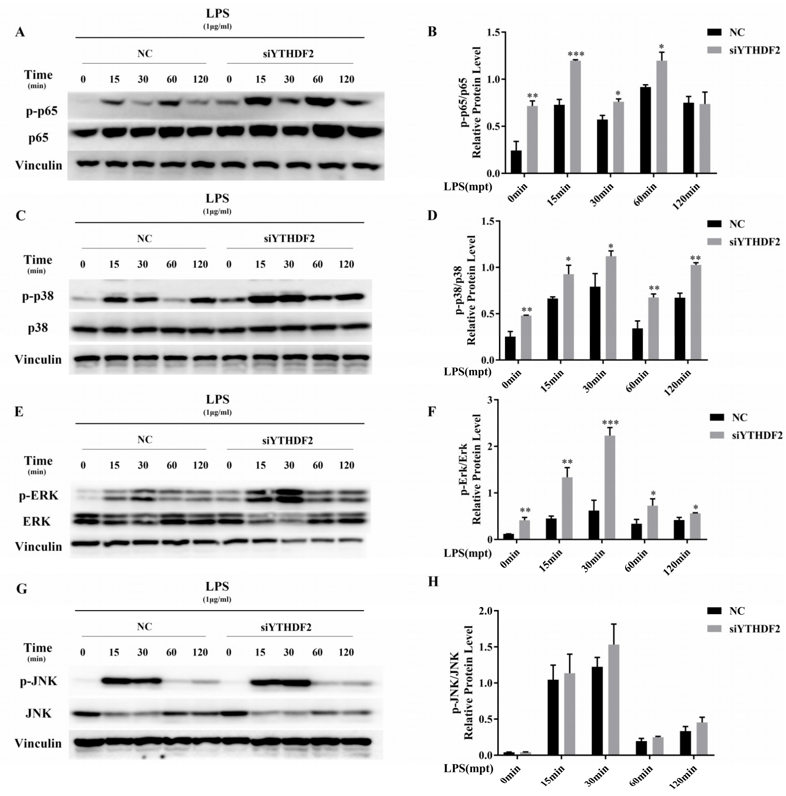 Ijms 20 01323 g004 Ijms 20 01323 g004