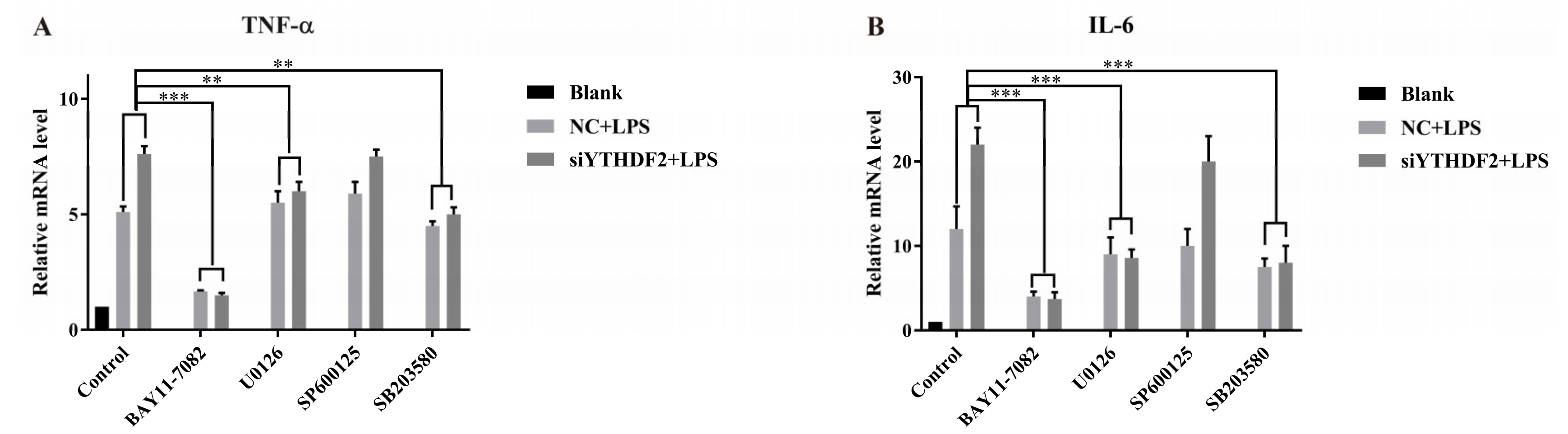 Ijms 20 01323 g005 Ijms 20 01323 g005