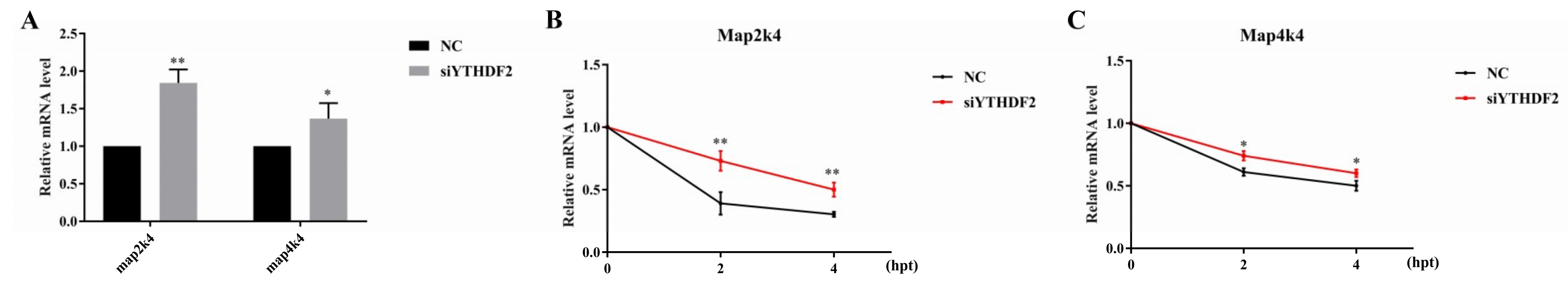 Ijms 20 01323 g006 Ijms 20 01323 g006
