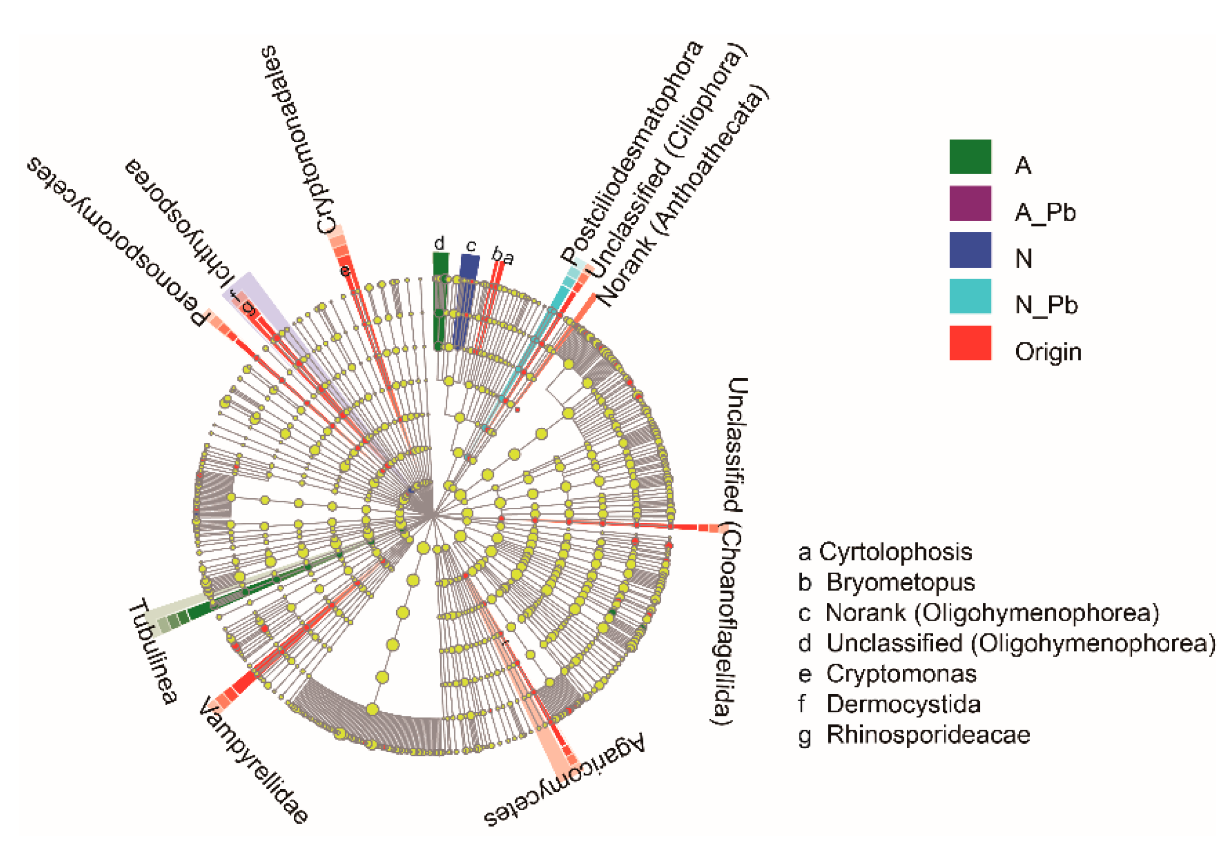 Ijms 20 01343 g003 Ijms 20 01343 g003